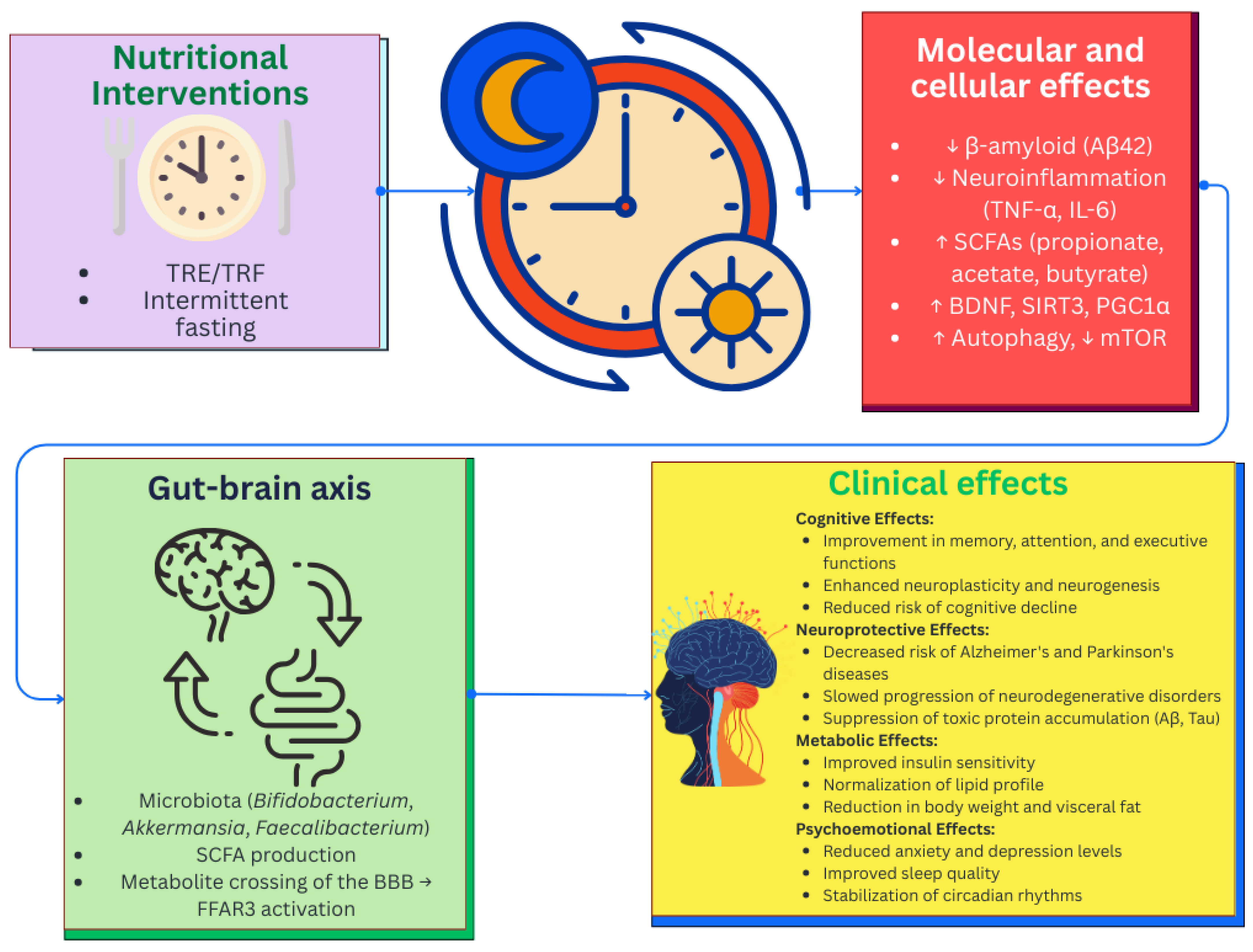 Nutrients 17 03068 g004 Nutrients 17 03068 g004