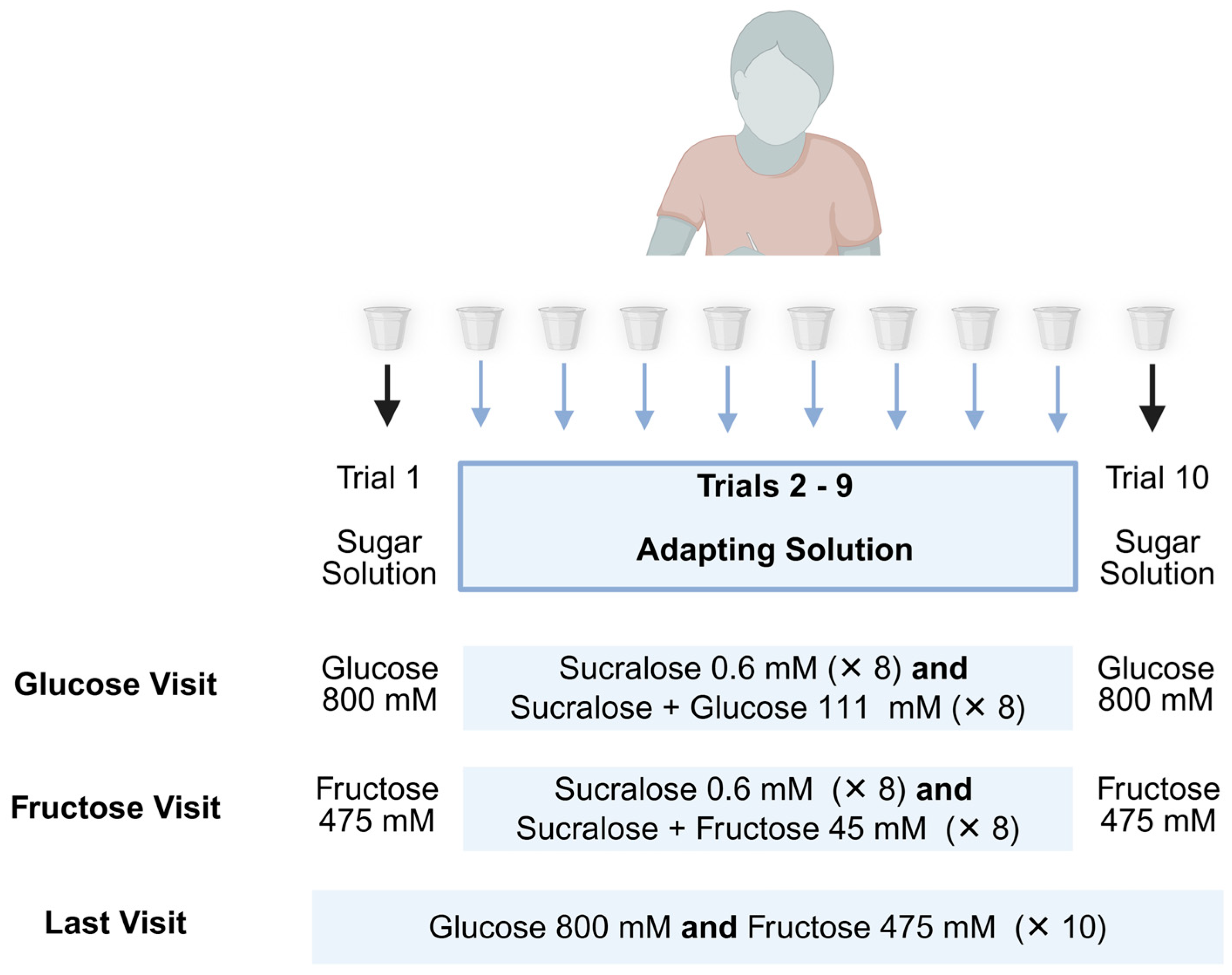 Nutrients 17 03075 g002