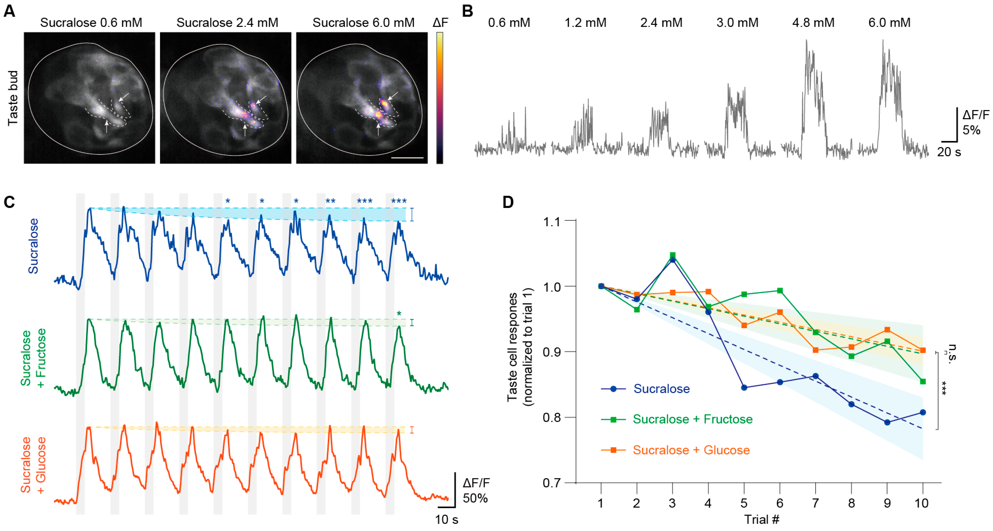 Nutrients 17 03075 g007