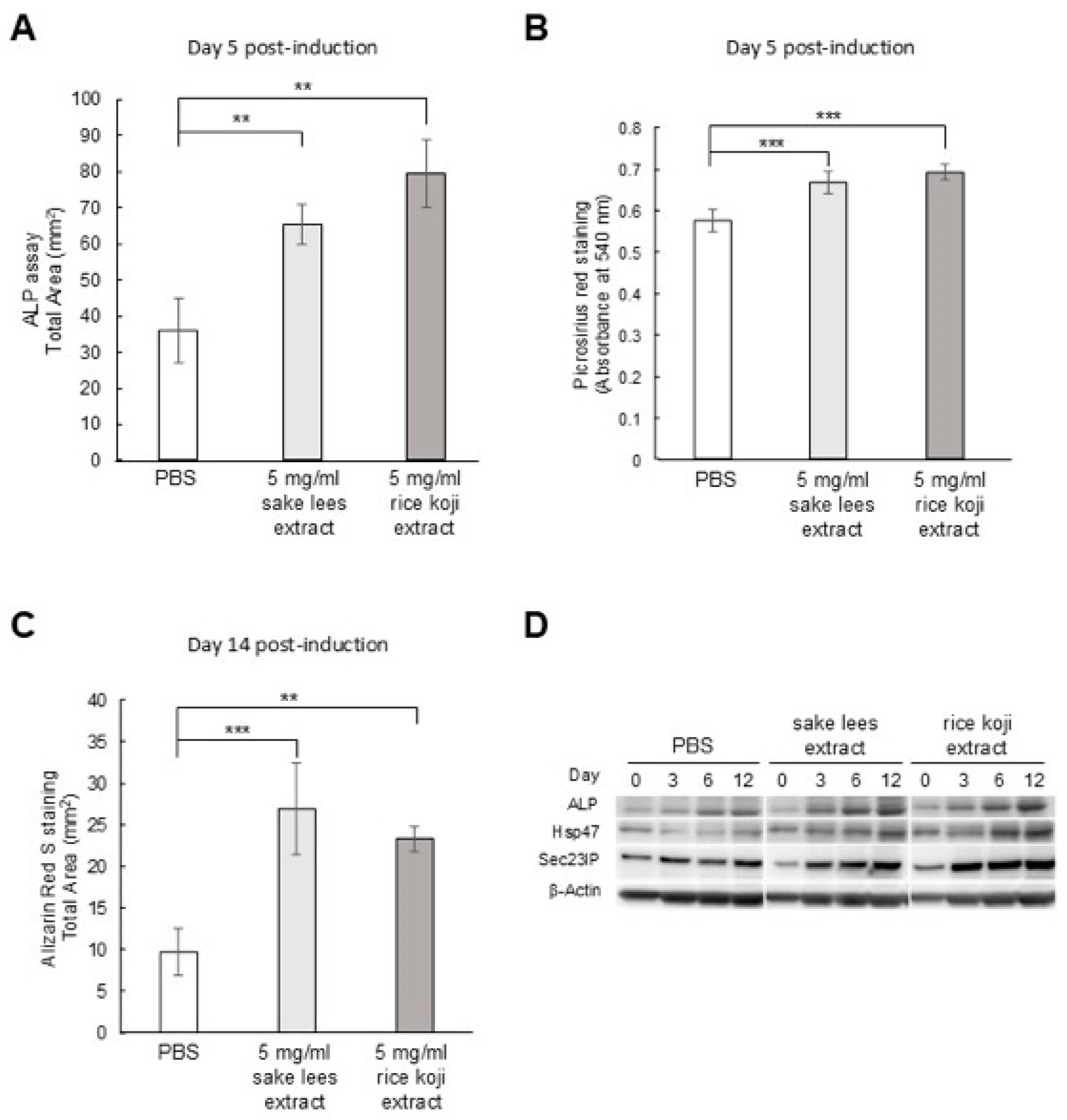 Nutrients 17 03077 g001 Nutrients 17 03077 g001