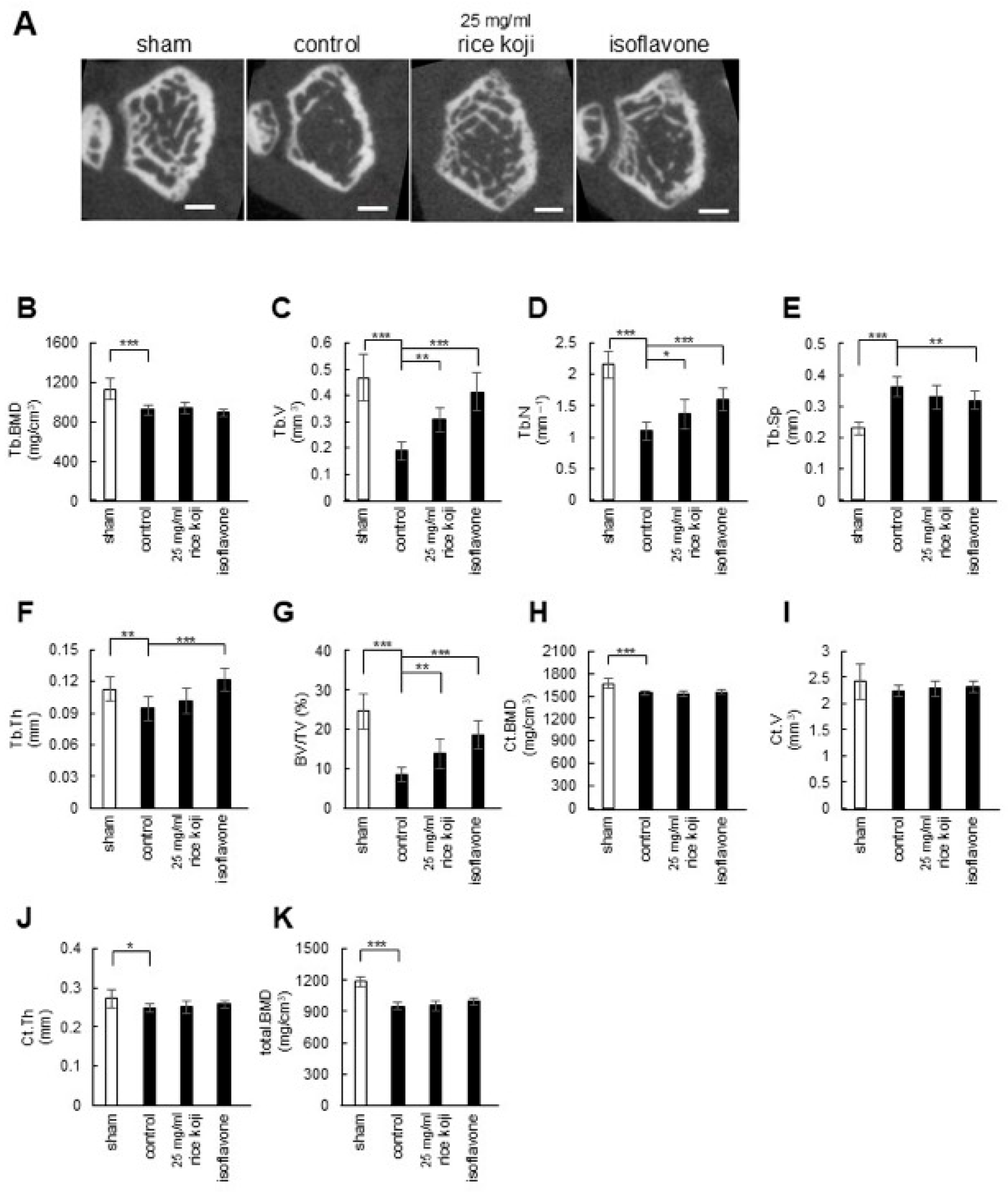 Nutrients 17 03077 g004 Nutrients 17 03077 g004