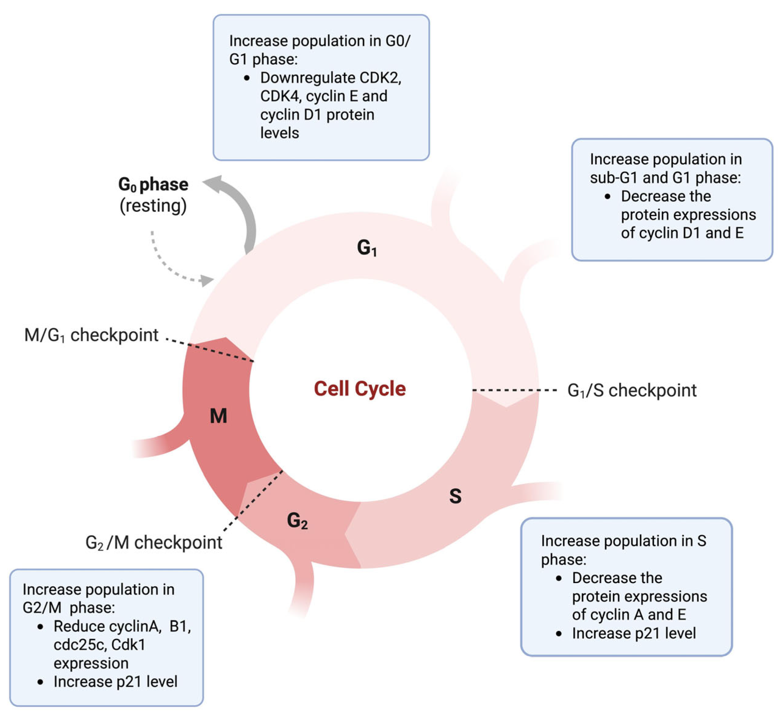 Nutrients 17 03085 g002