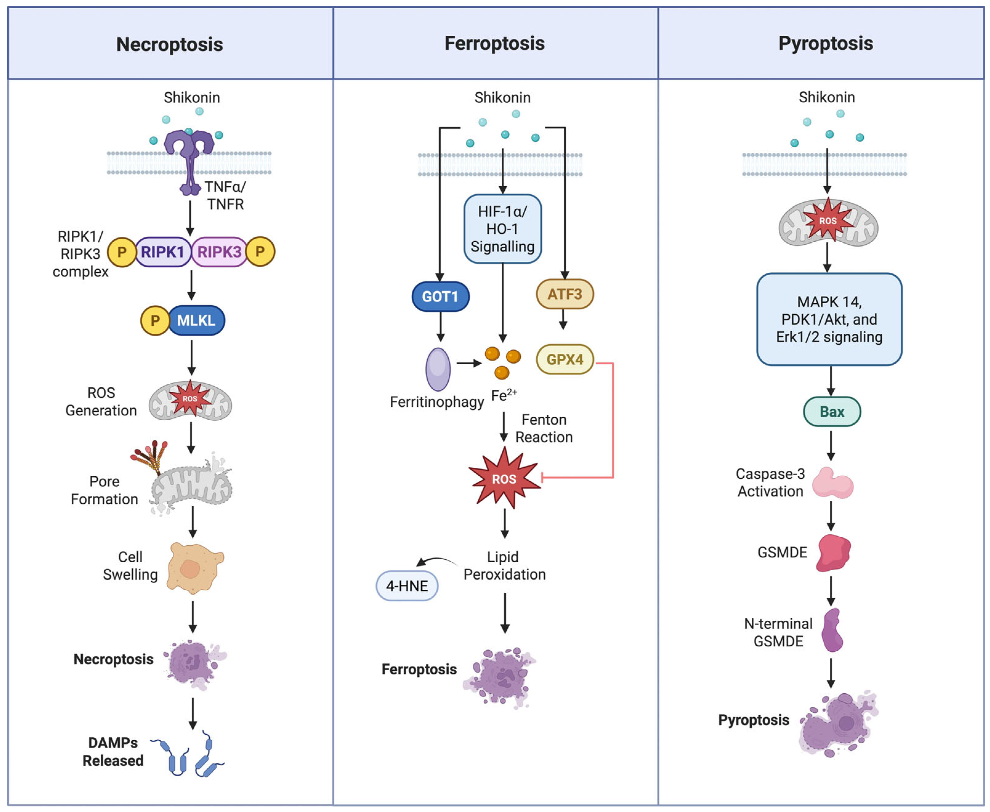 Nutrients 17 03085 g003