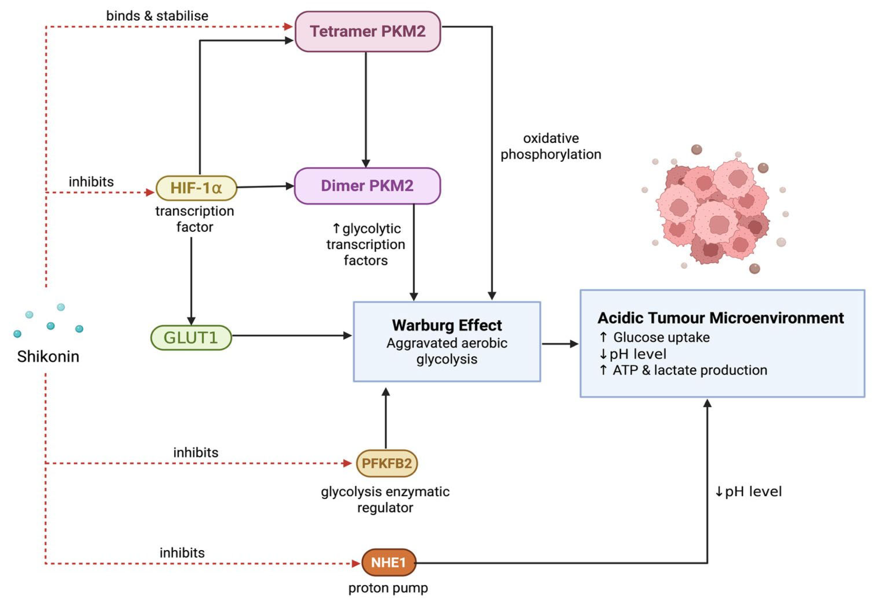 Nutrients 17 03085 g004