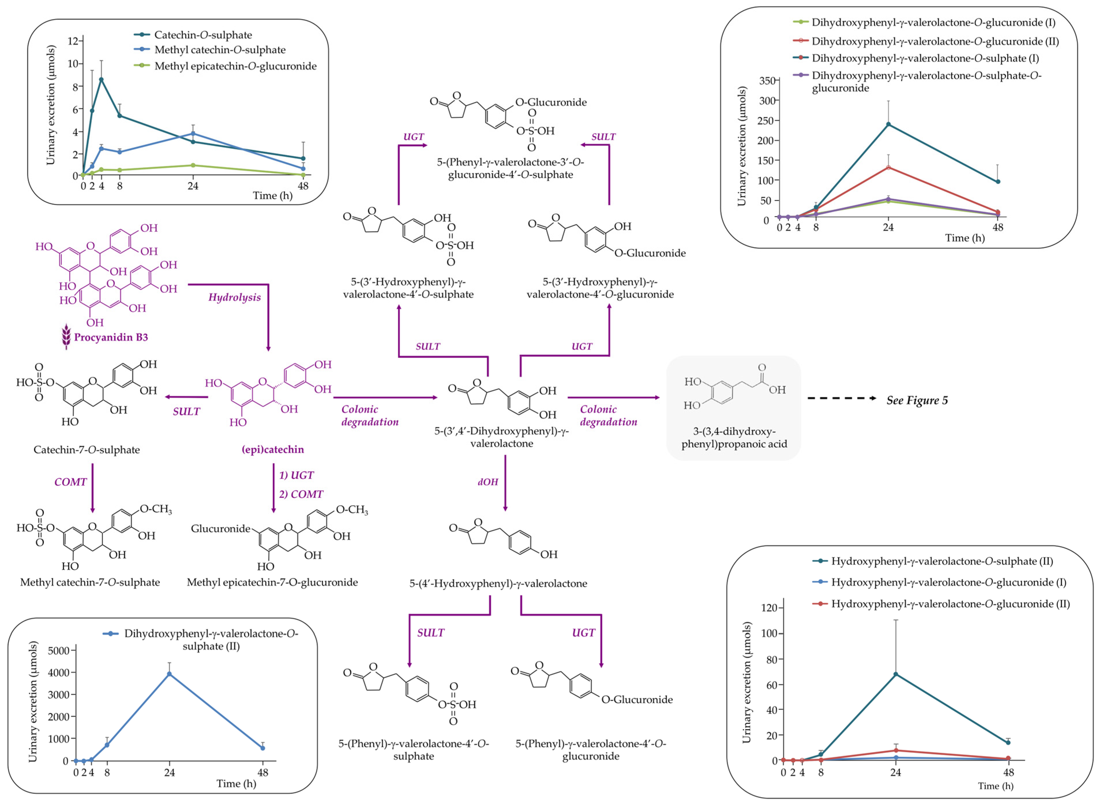 Nutrients 17 03086 g004