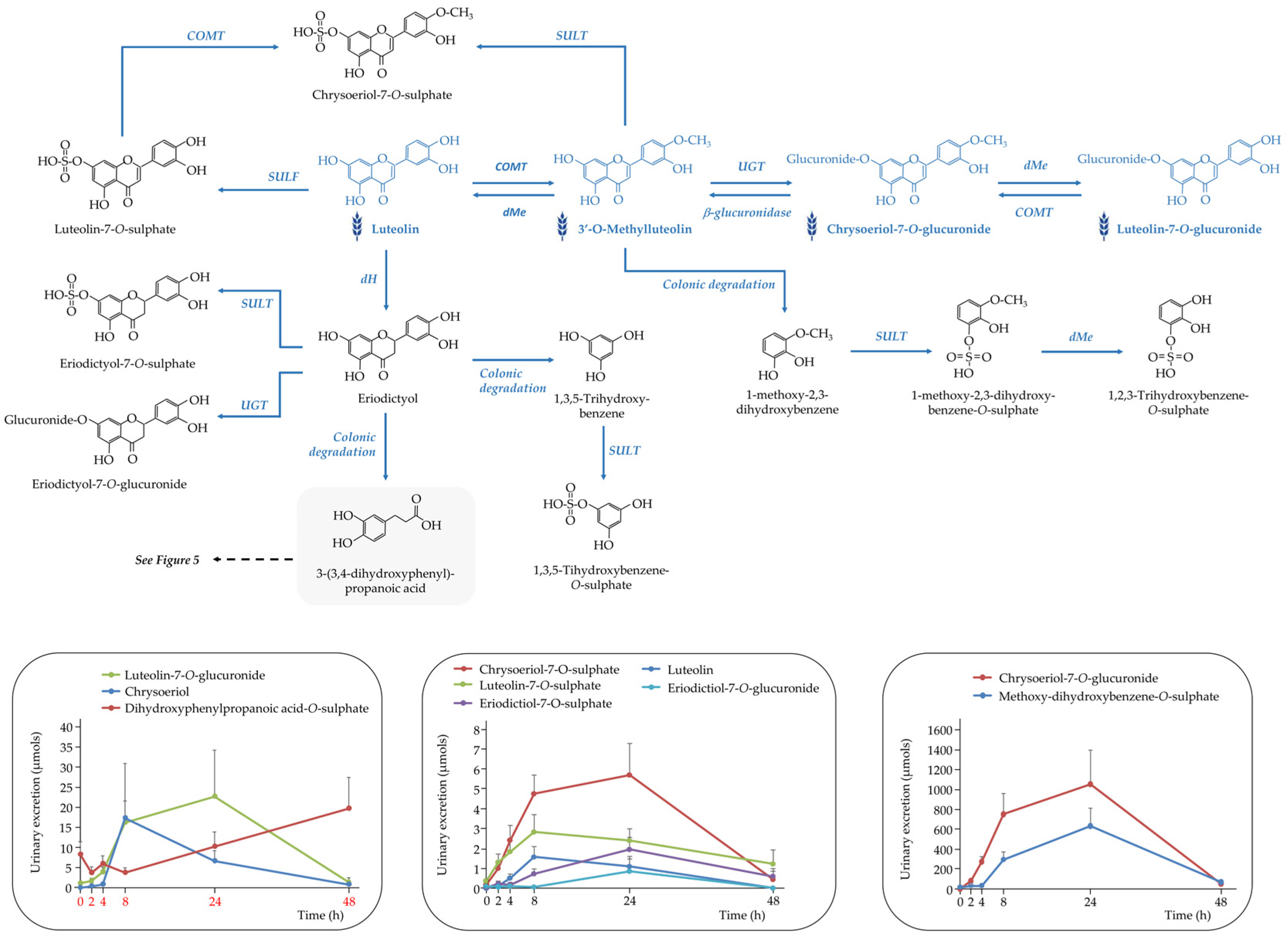 Nutrients 17 03086 g006