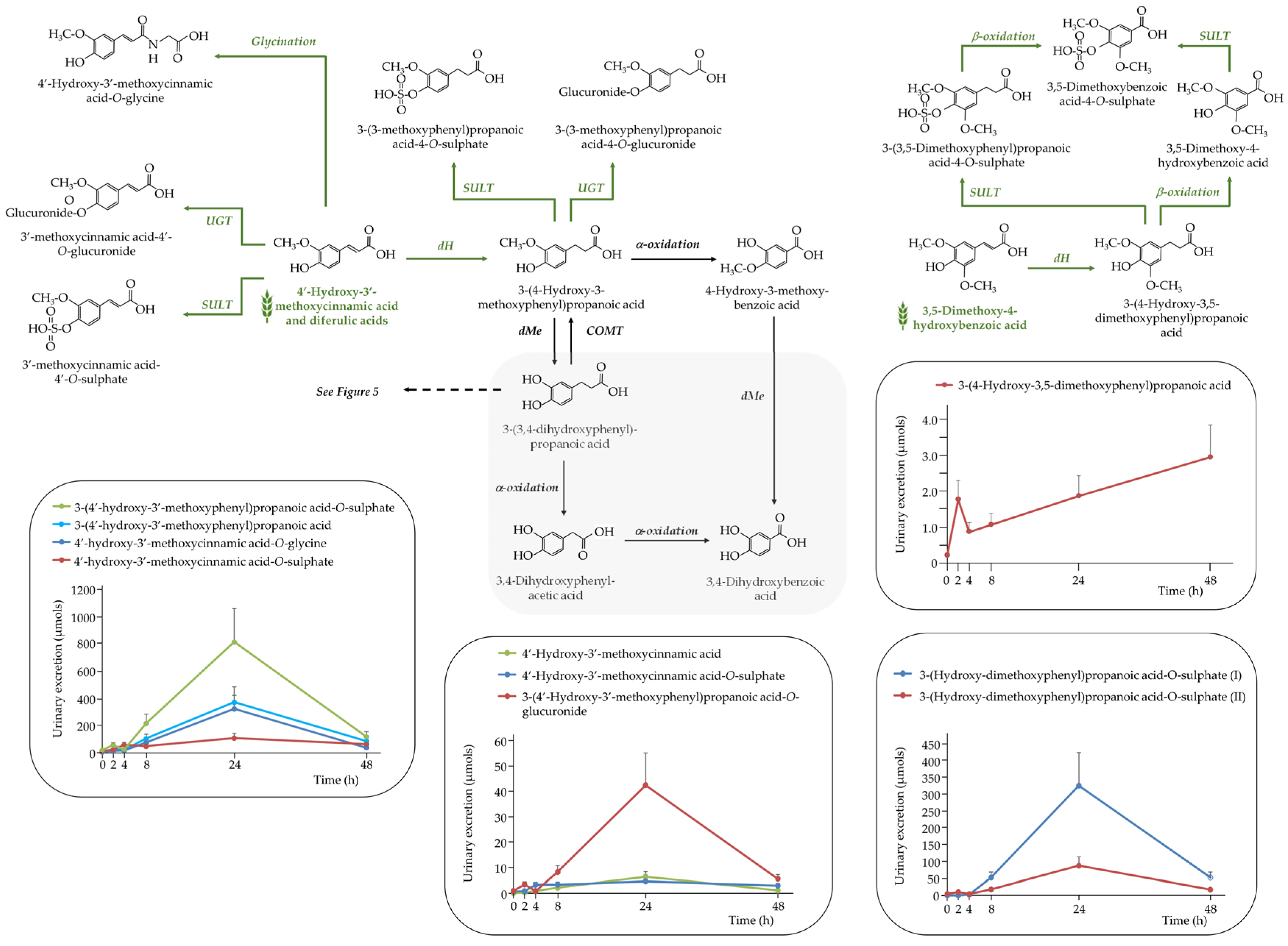 Nutrients 17 03086 g007