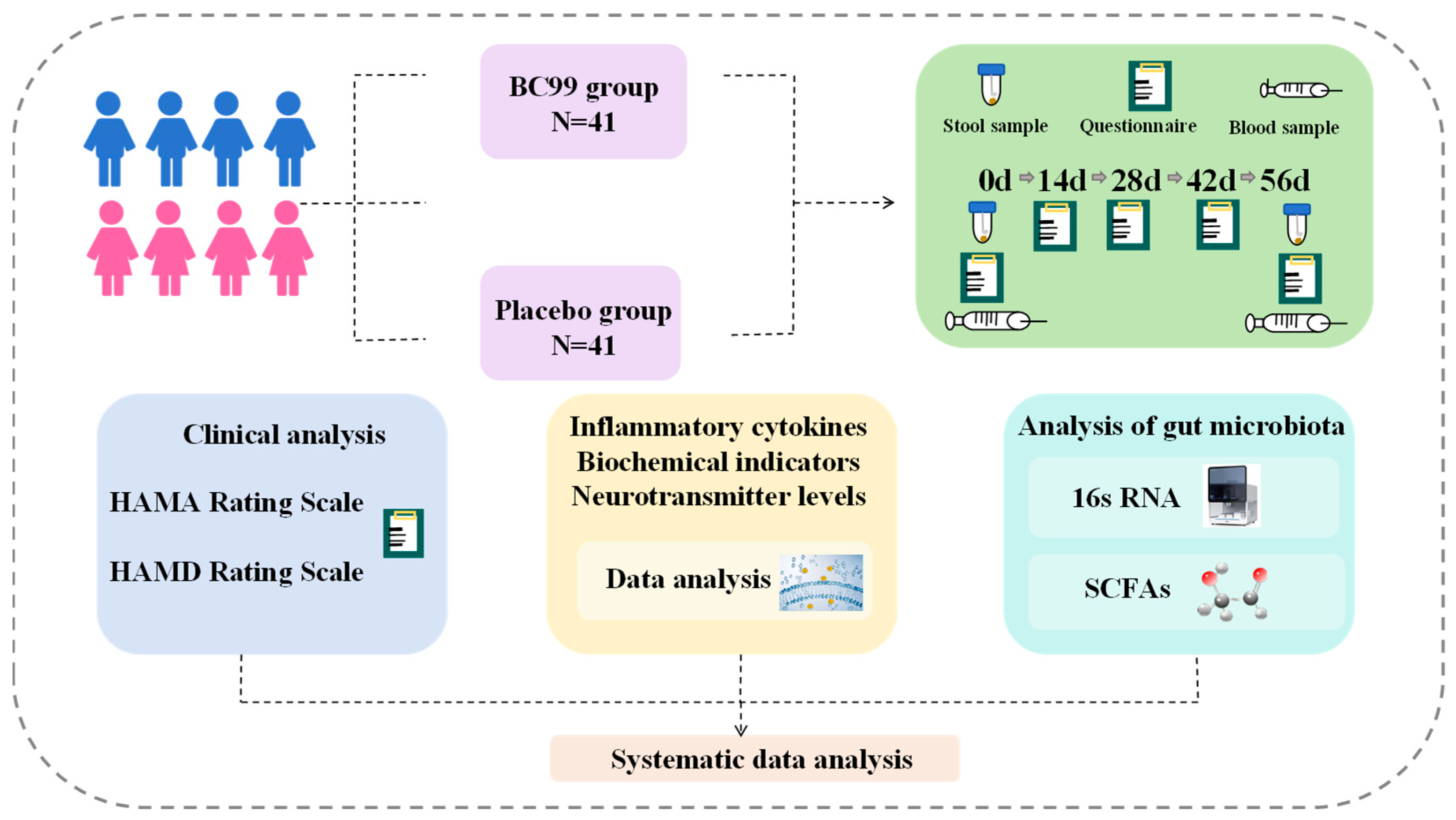 Nutrients 17 03087 g001