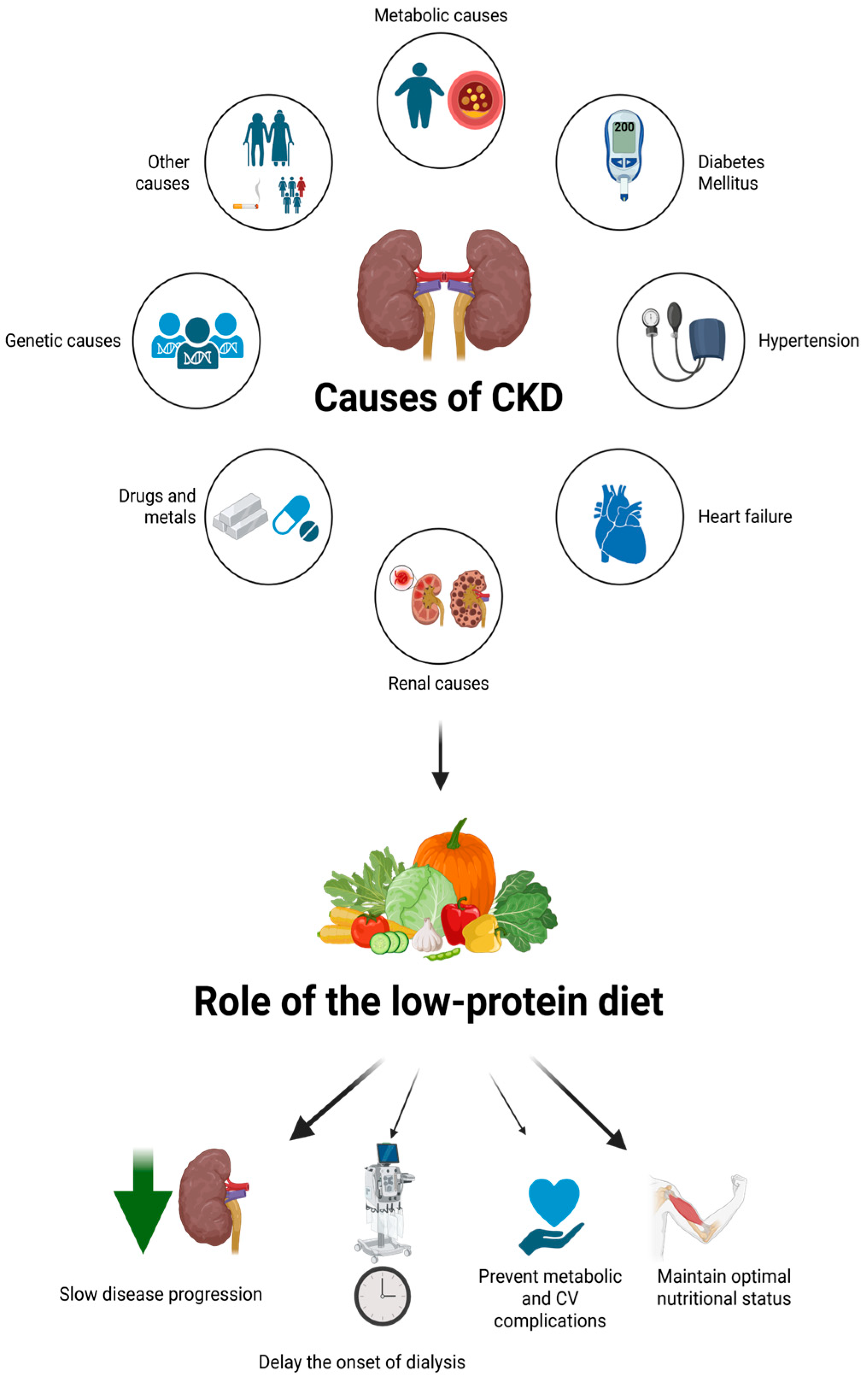 Nutrients 17 03091 g001 Nutrients 17 03091 g001