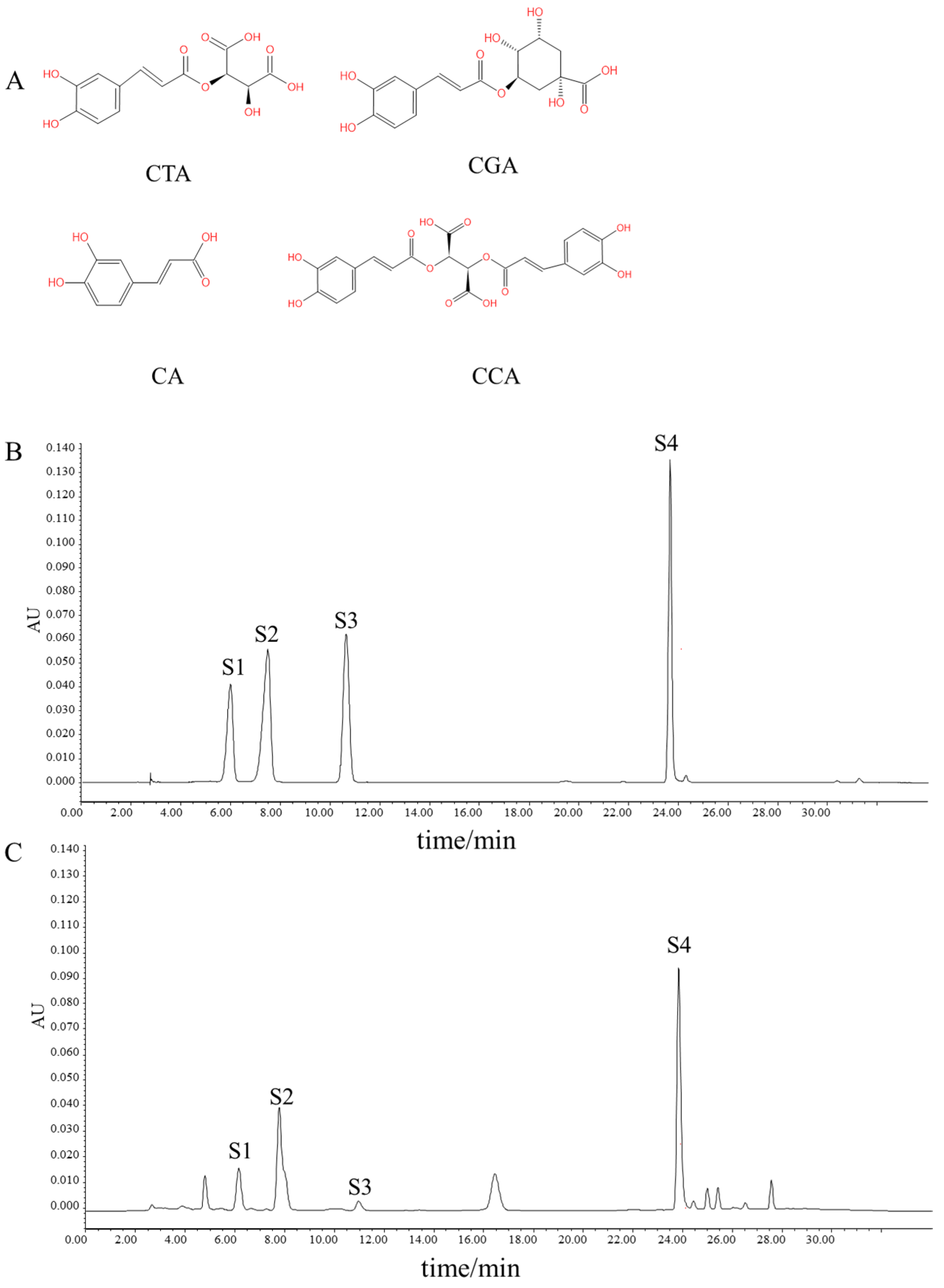 Nutrients 17 03092 g001 Nutrients 17 03092 g001