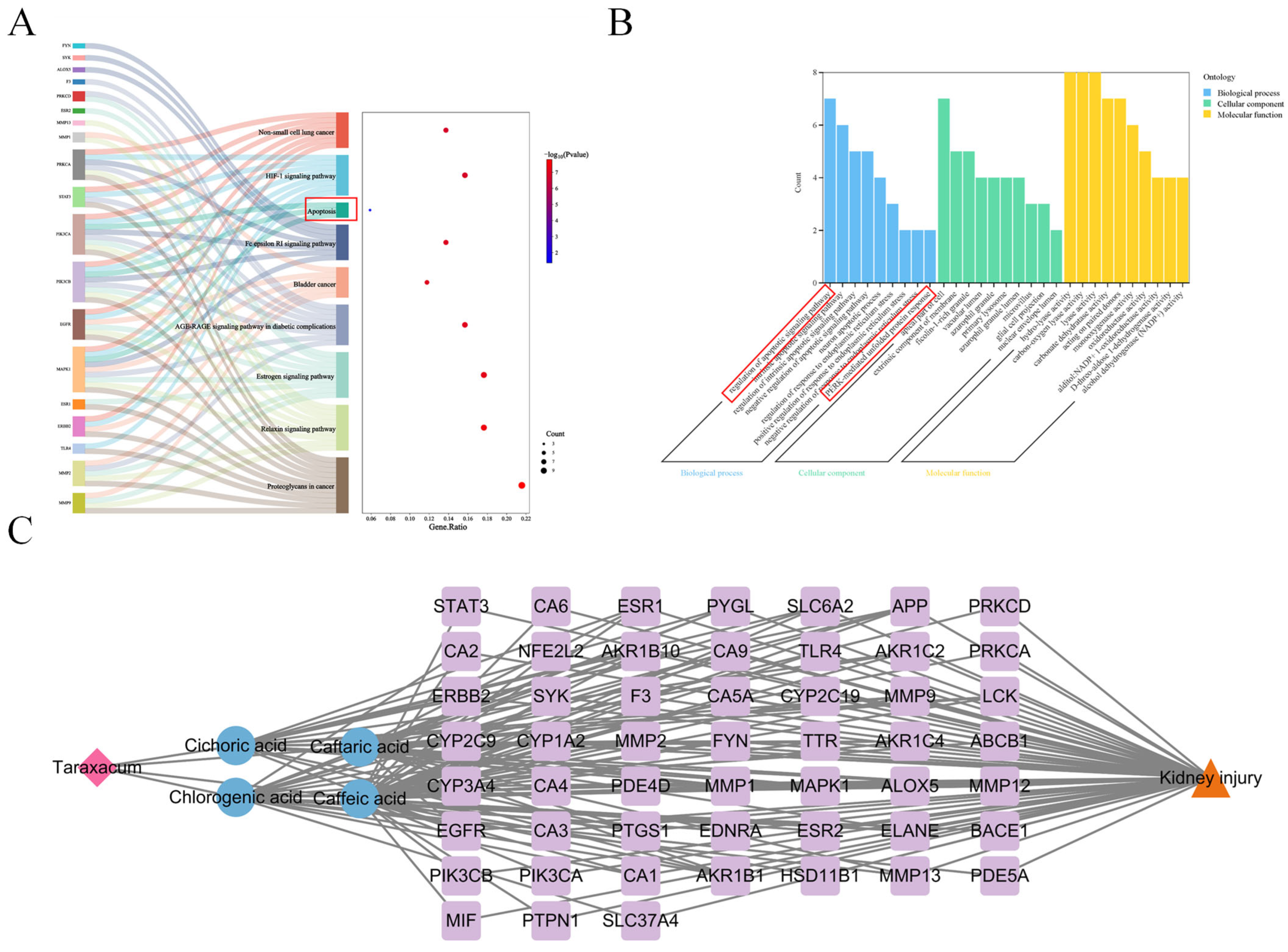 Nutrients 17 03092 g003 Nutrients 17 03092 g003