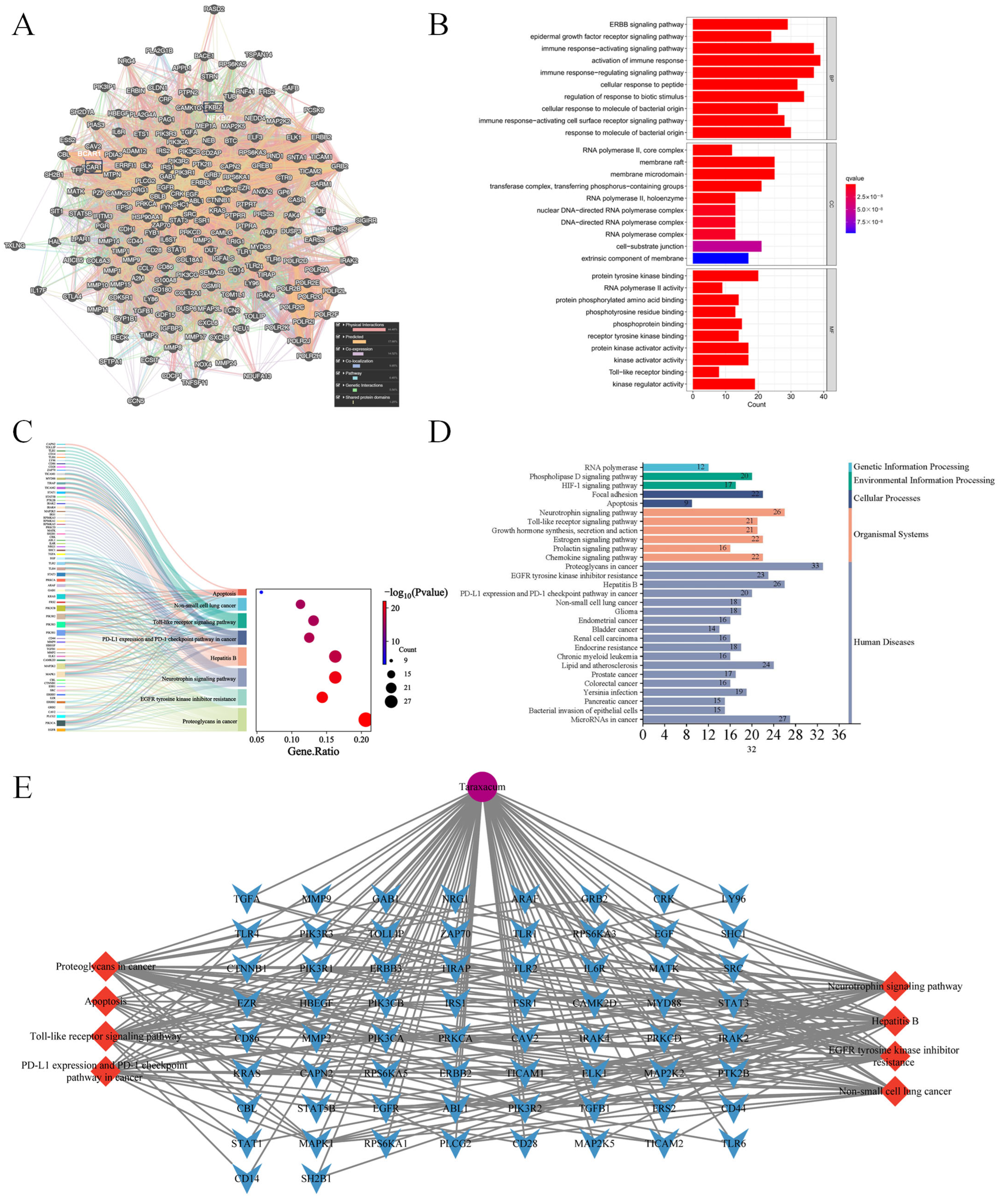 Nutrients 17 03092 g005 Nutrients 17 03092 g005