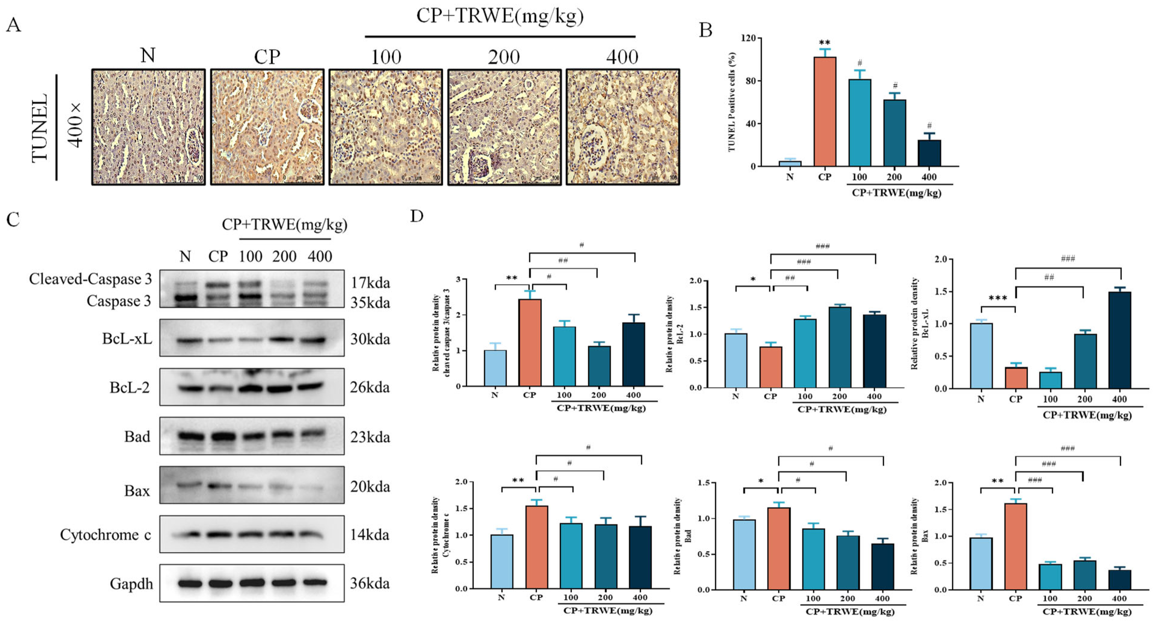Nutrients 17 03092 g008 Nutrients 17 03092 g008