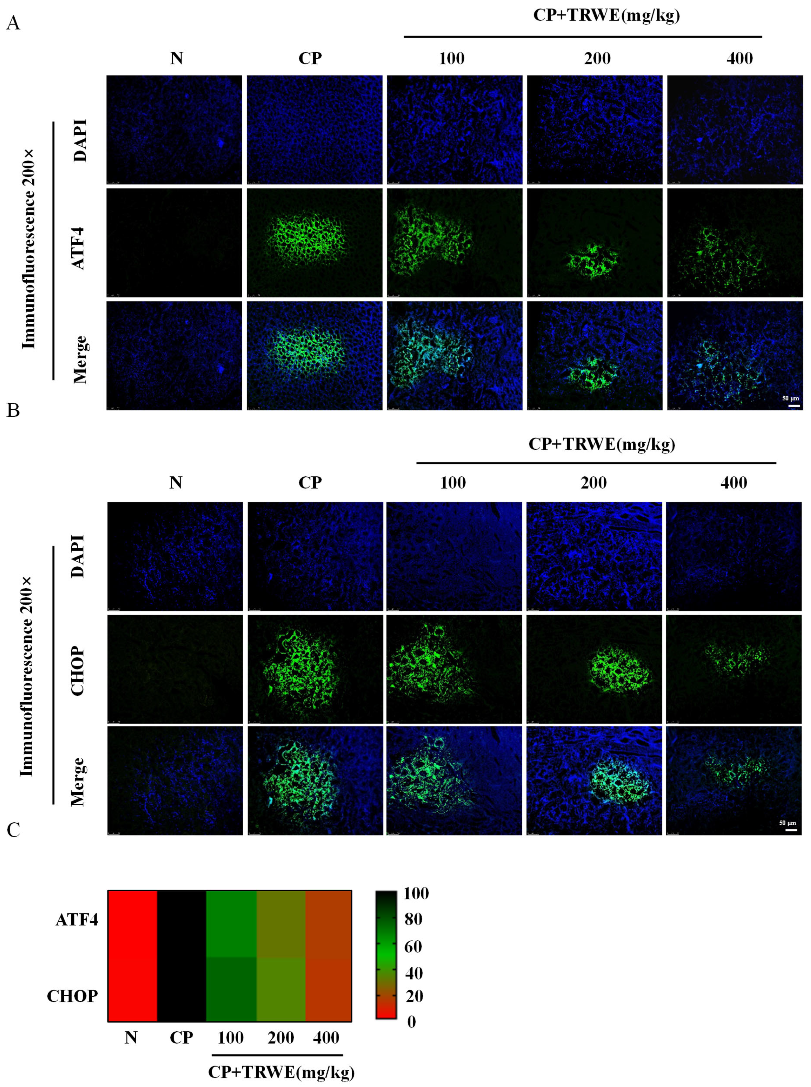 Nutrients 17 03092 g009 Nutrients 17 03092 g009
