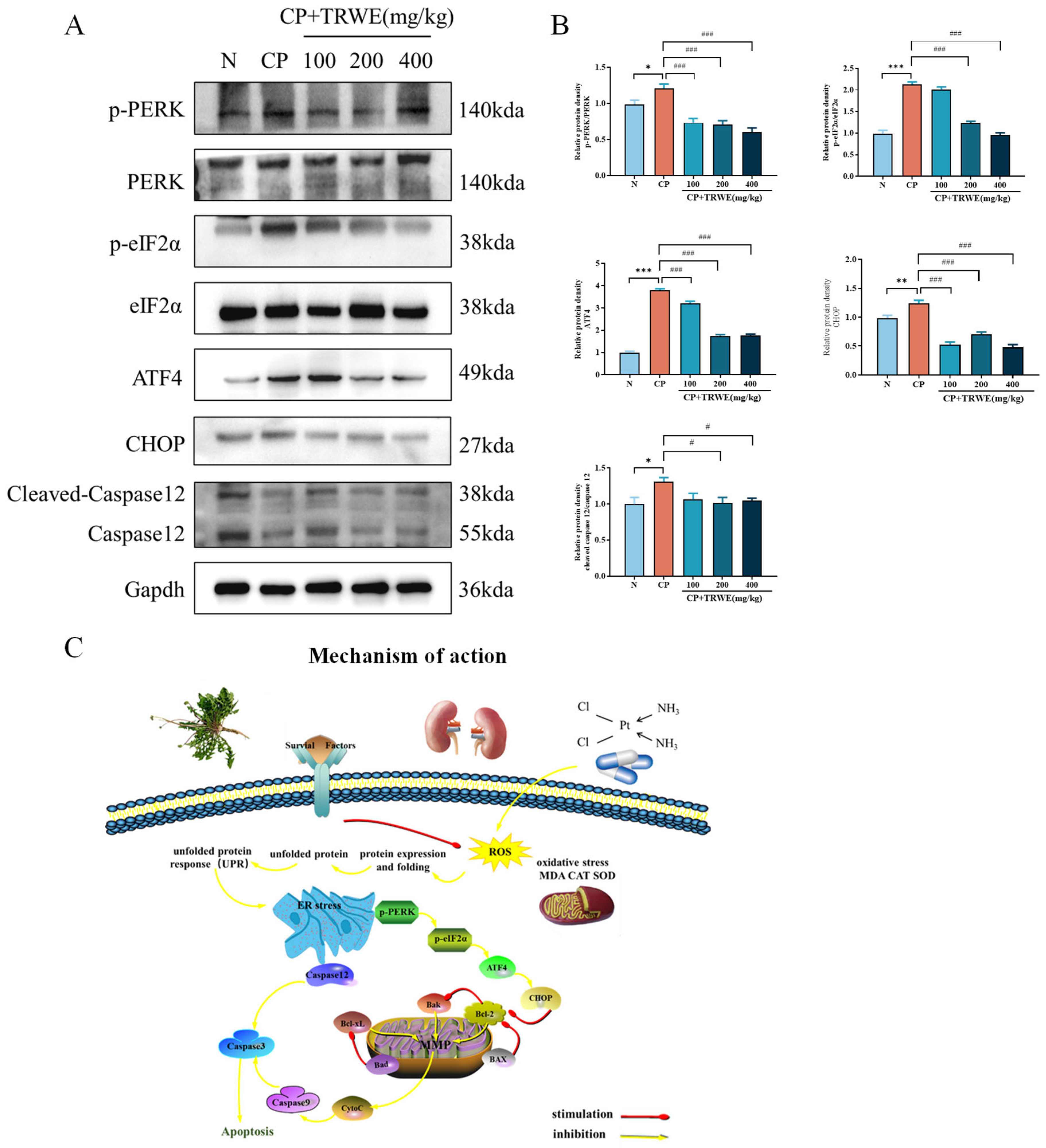Nutrients 17 03092 g010 Nutrients 17 03092 g010