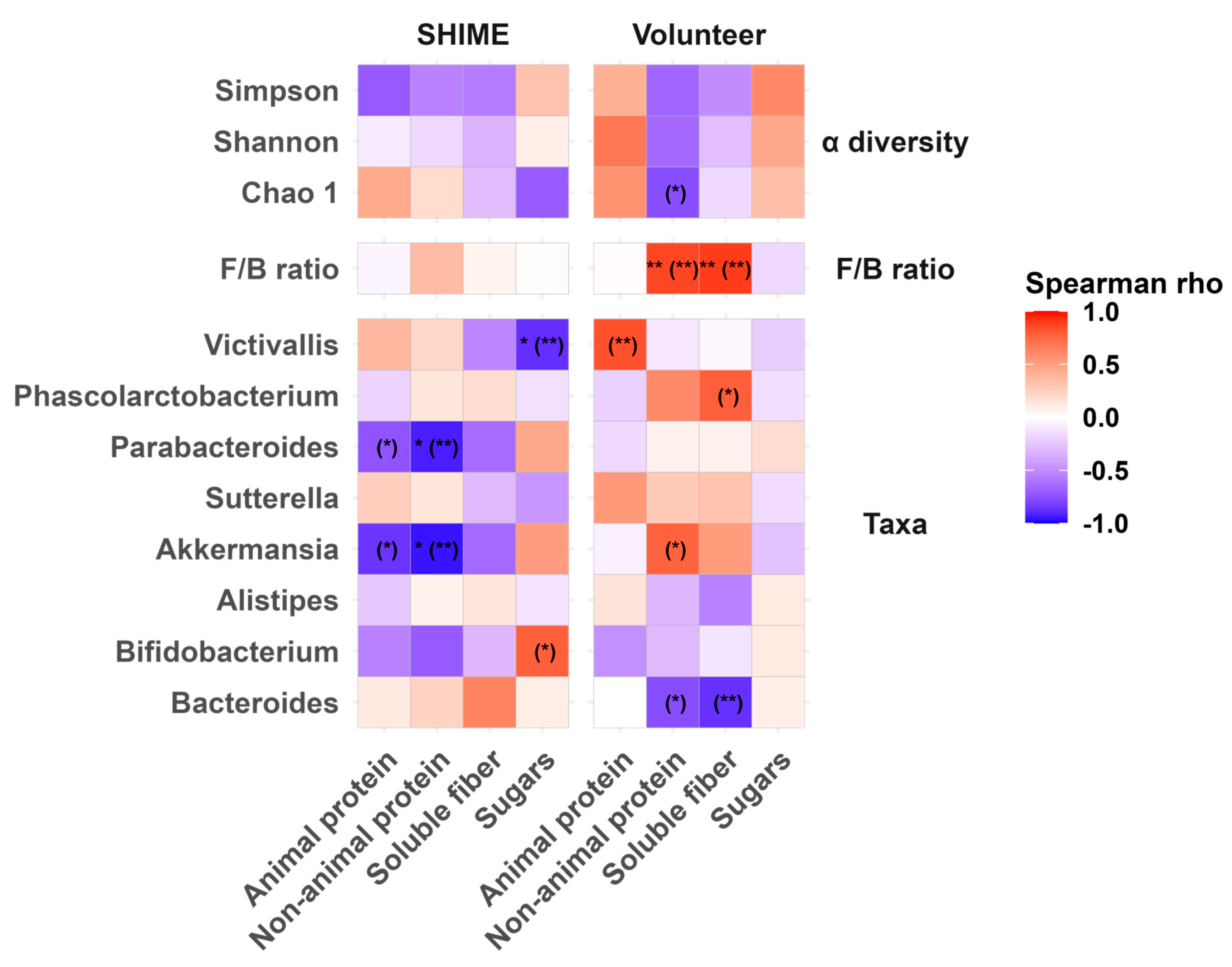 Nutrients 17 03093 g007 Nutrients 17 03093 g007
