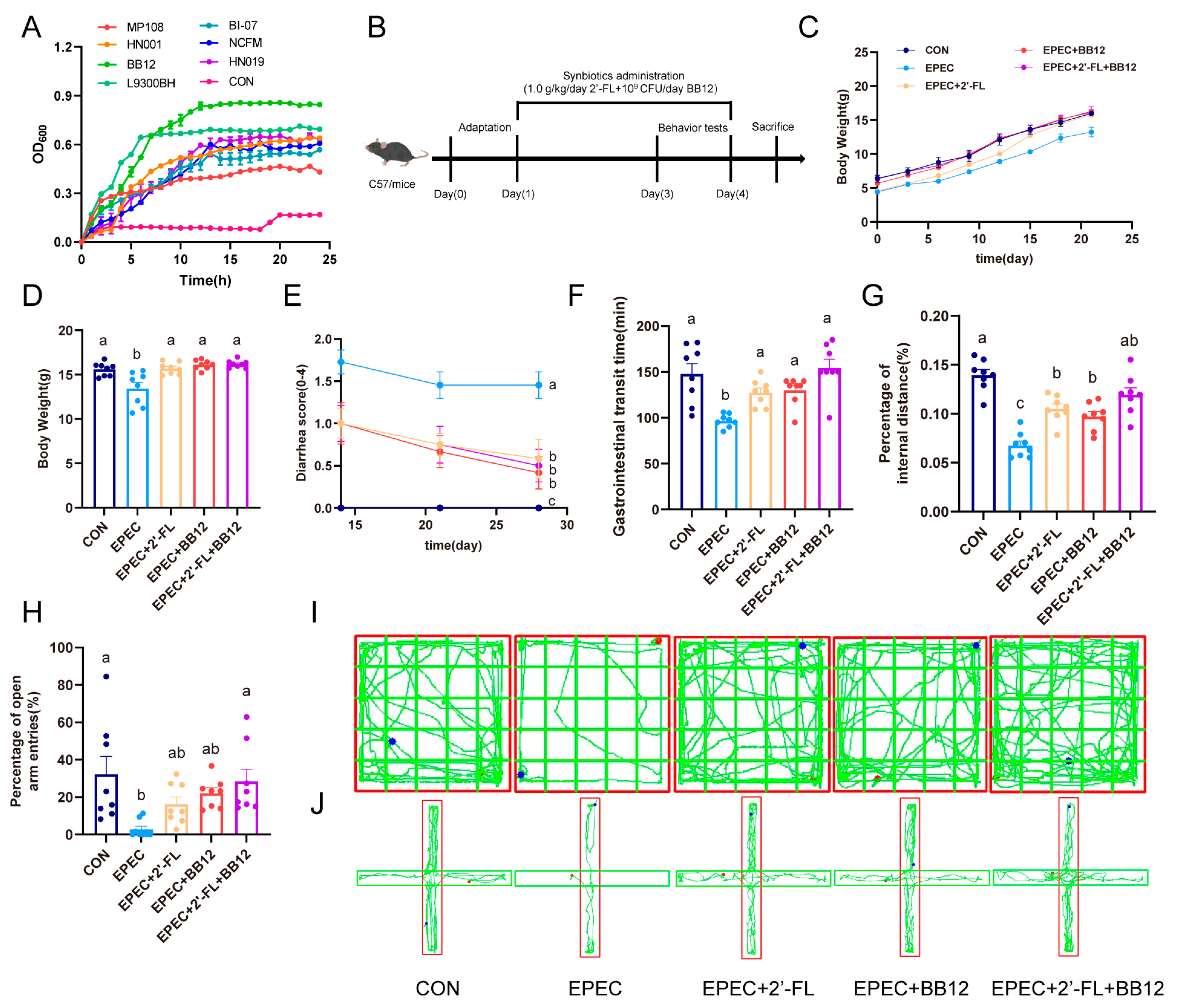 Nutrients 17 03099 g001 Nutrients 17 03099 g001