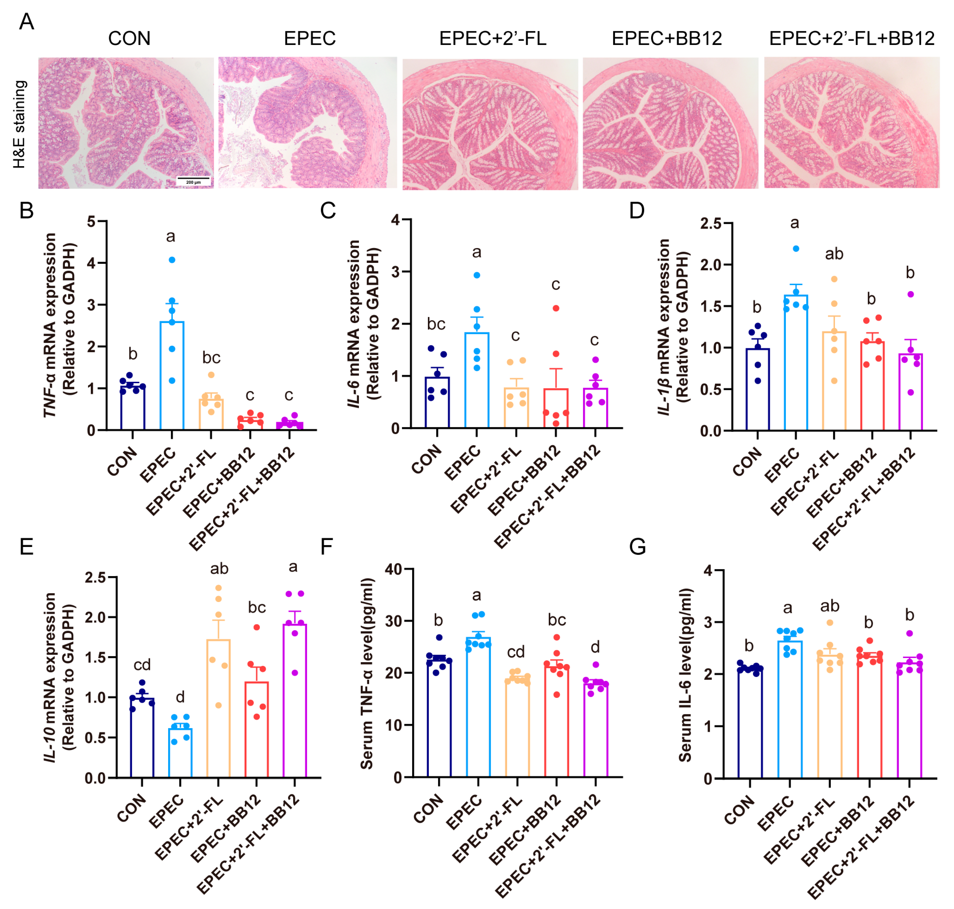 Nutrients 17 03099 g002 Nutrients 17 03099 g002