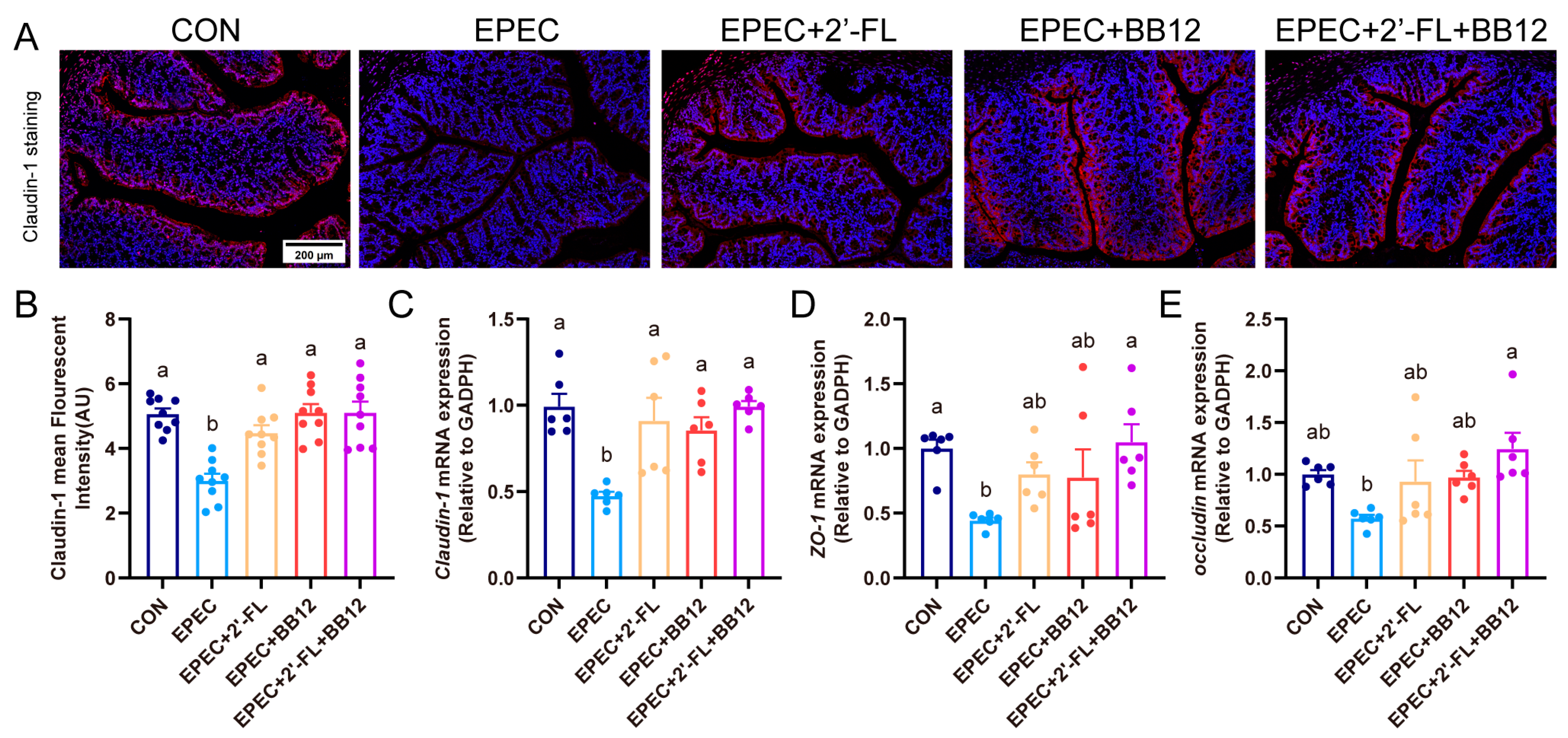 Nutrients 17 03099 g004 Nutrients 17 03099 g004