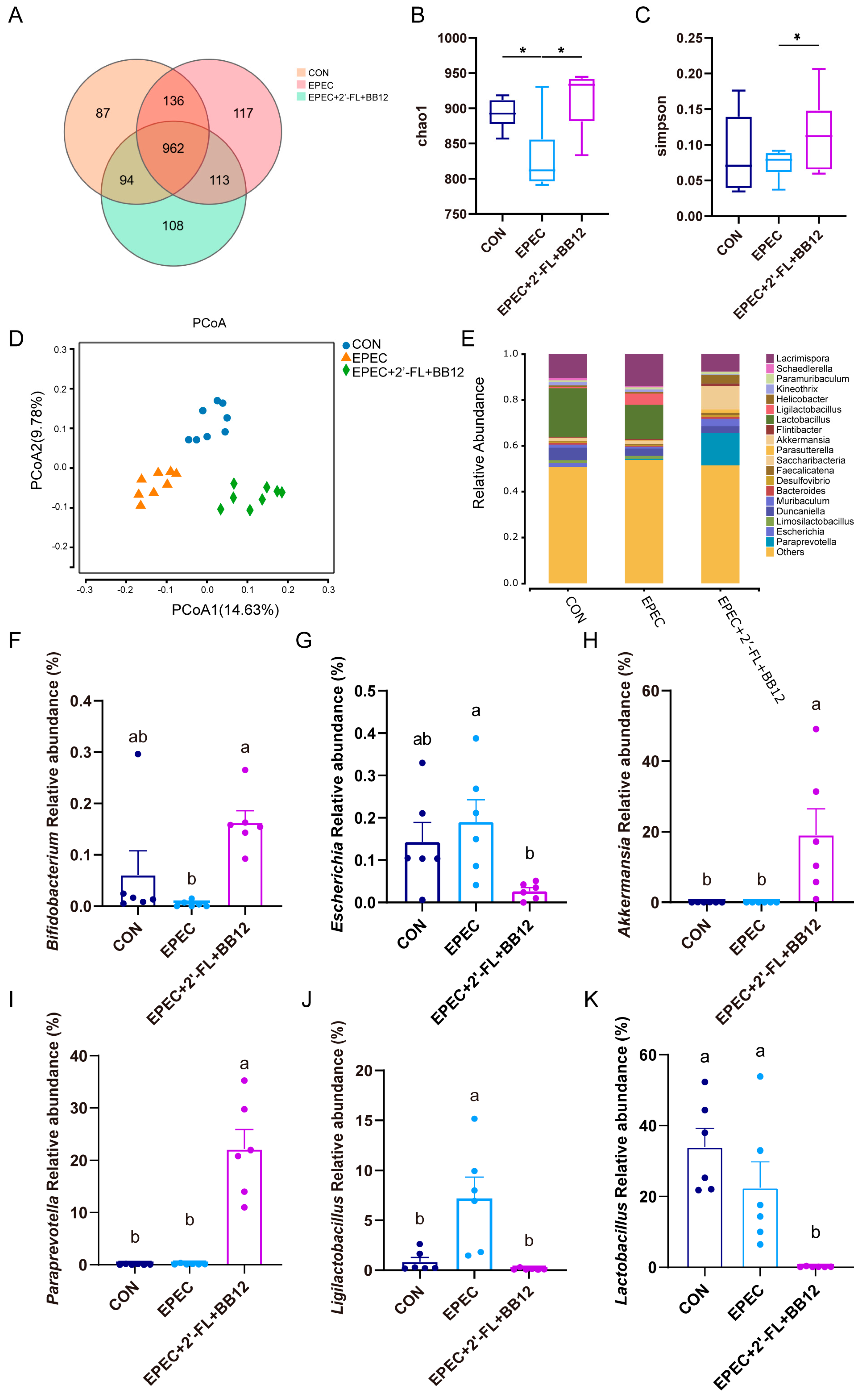 Nutrients 17 03099 g005 Nutrients 17 03099 g005