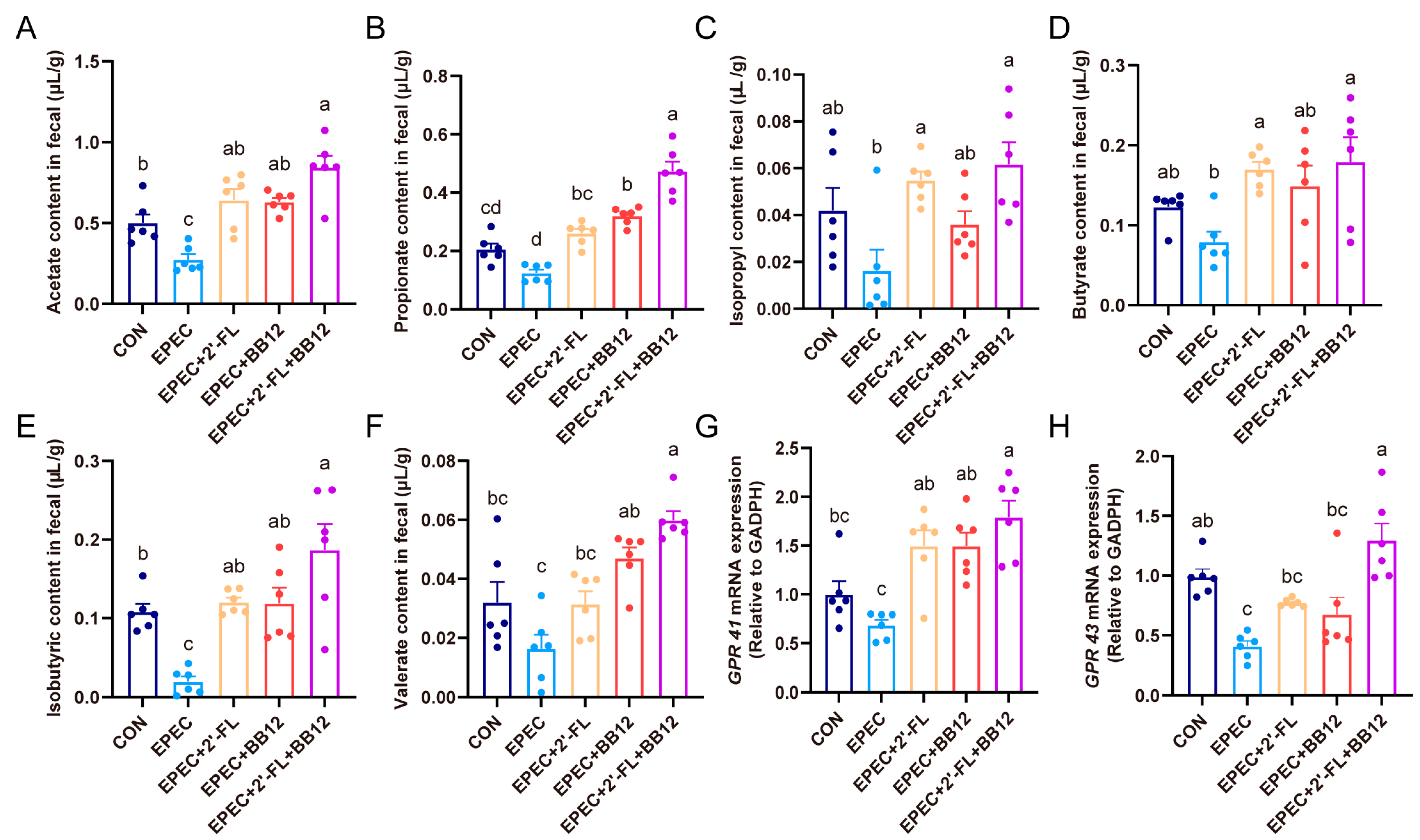 Nutrients 17 03099 g006 Nutrients 17 03099 g006