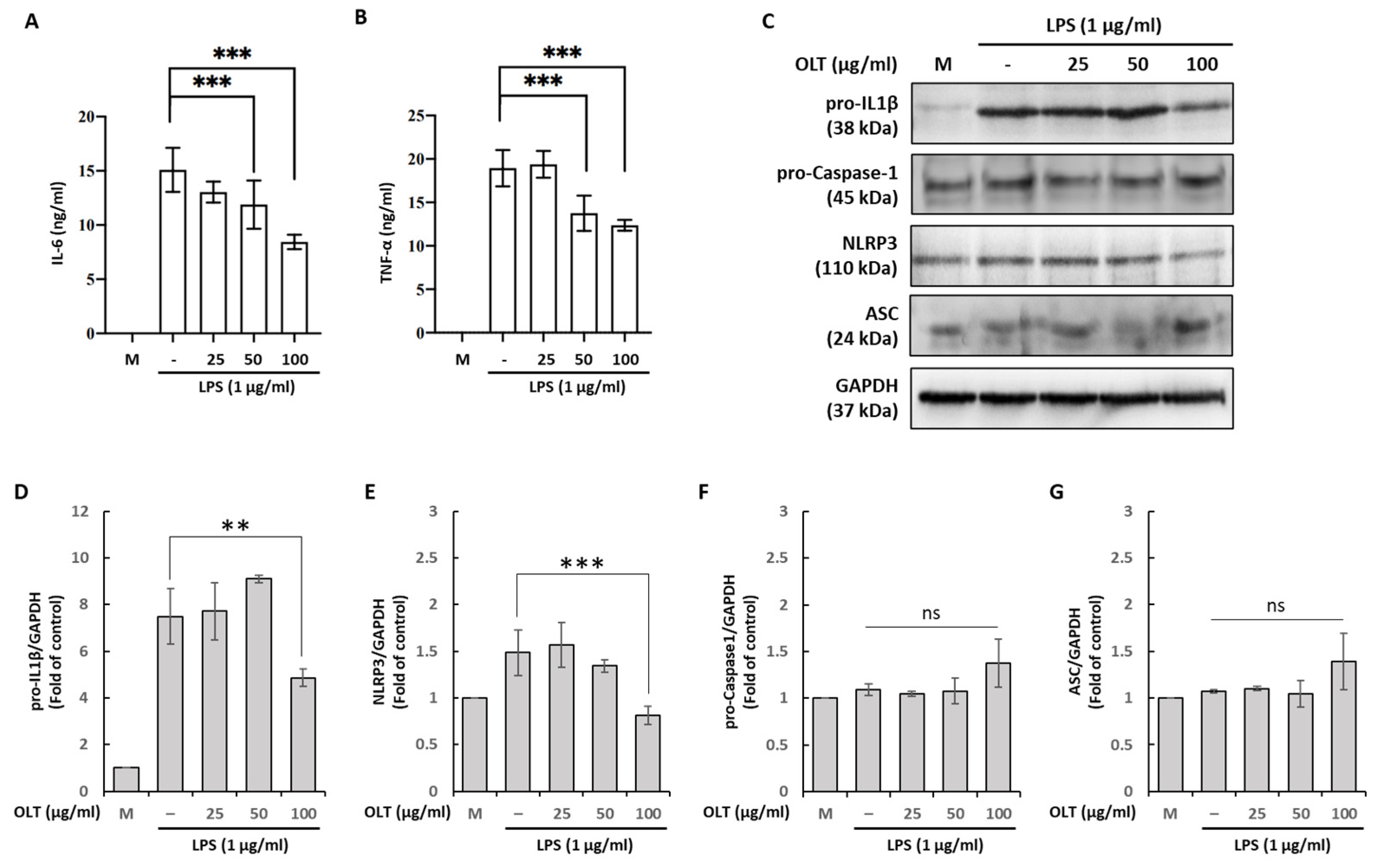 Nutrients 17 03106 g002