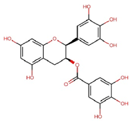 Nutrients 17 03106 i007