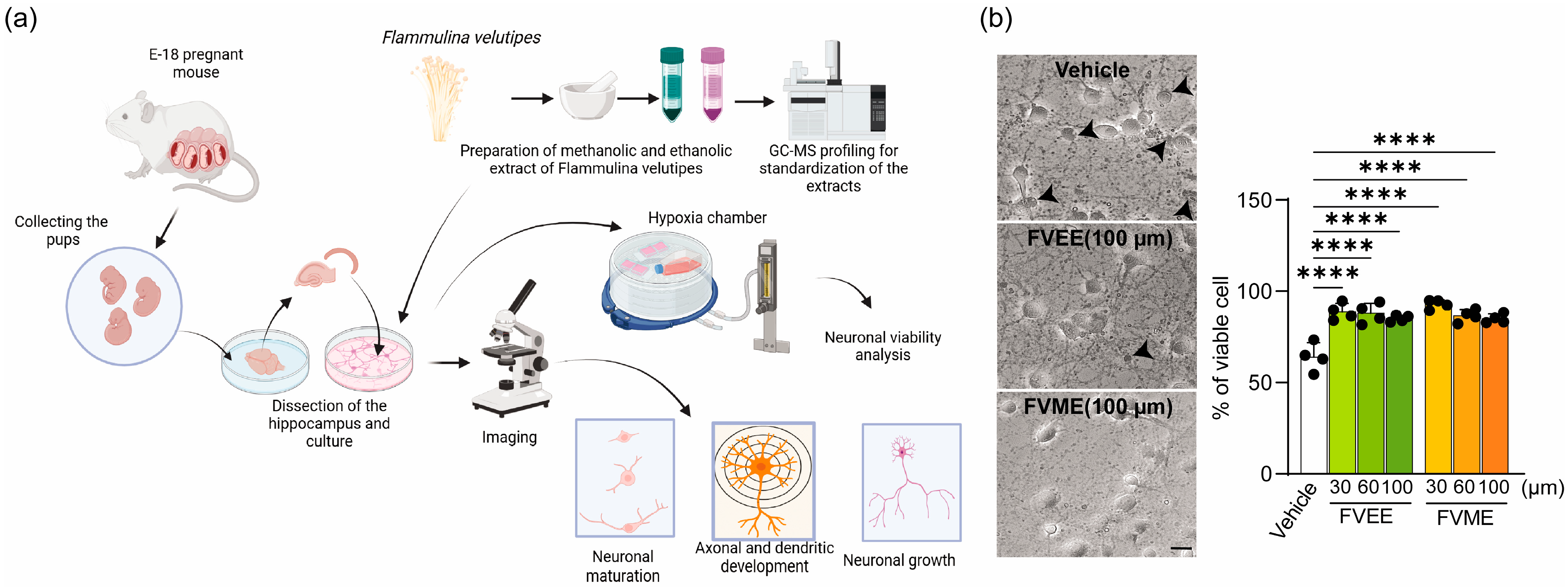 Nutrients 17 03107 g001