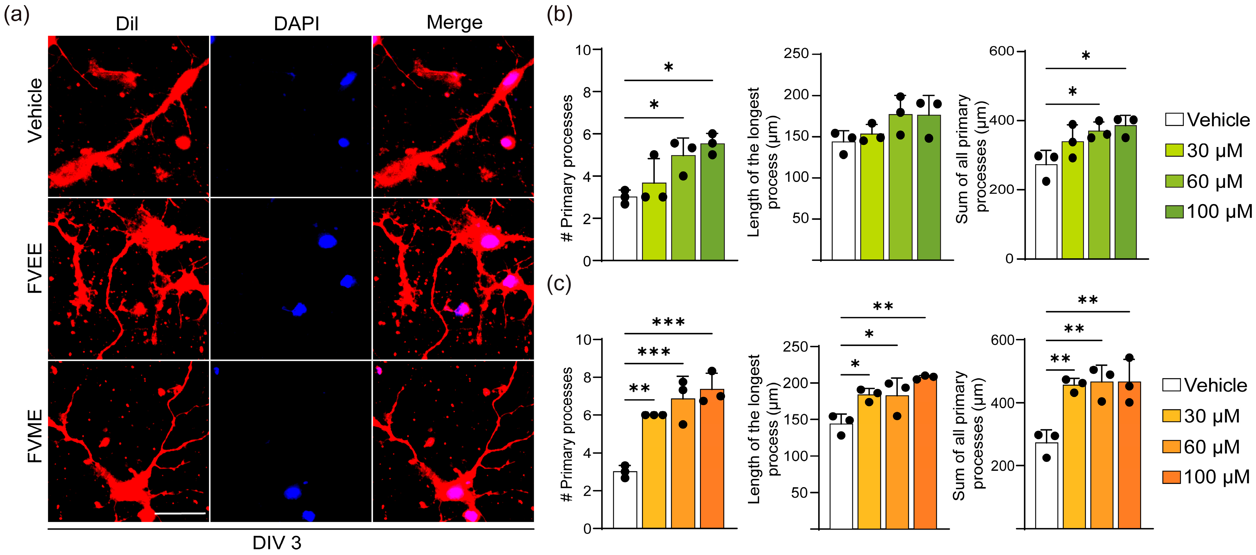 Nutrients 17 03107 g002
