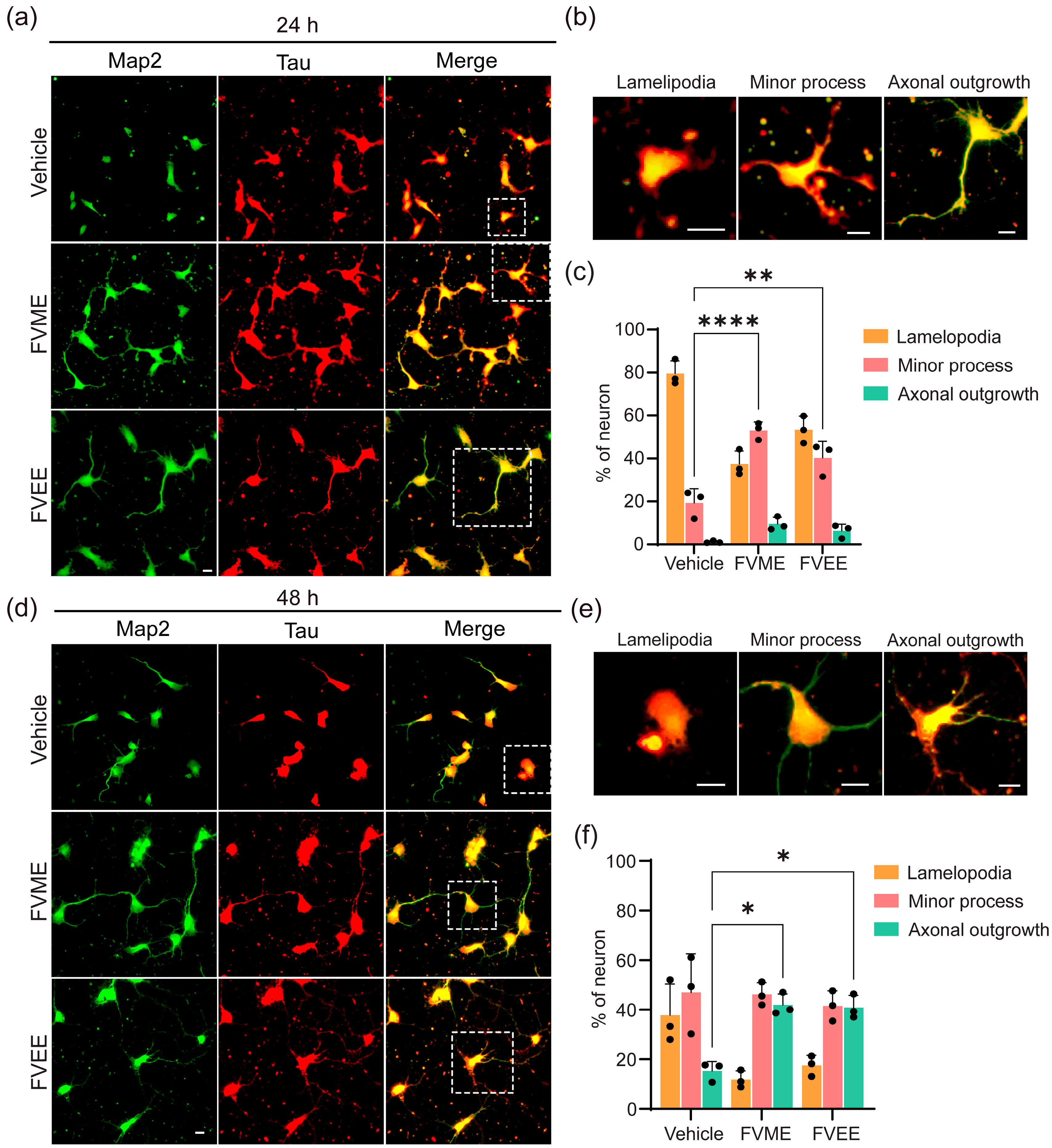 Nutrients 17 03107 g003