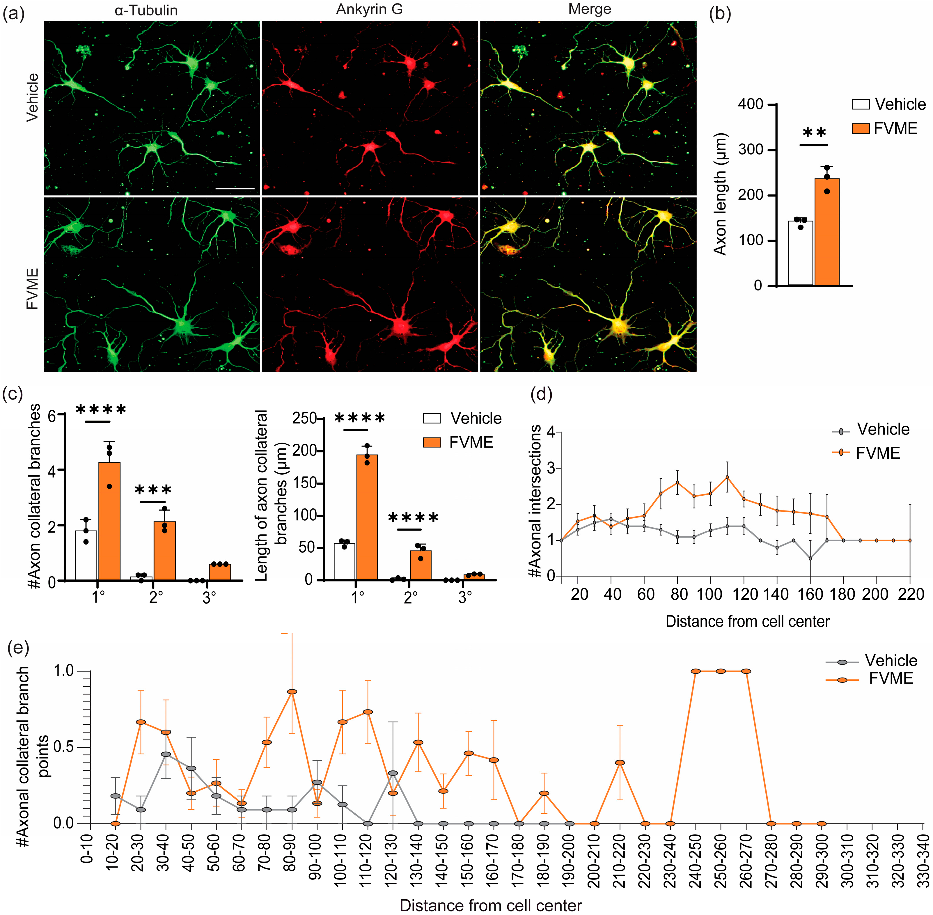 Nutrients 17 03107 g004