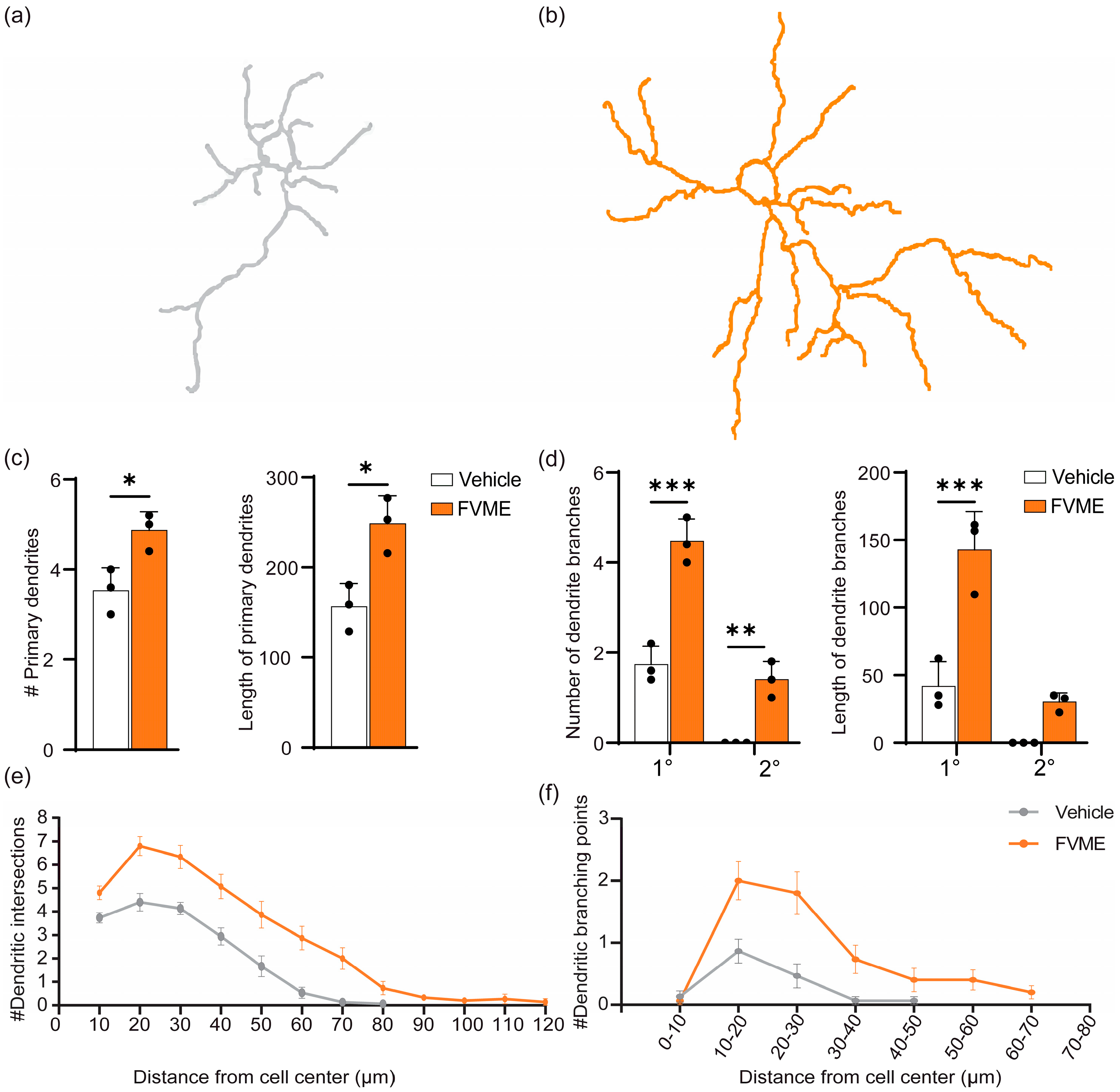 Nutrients 17 03107 g005