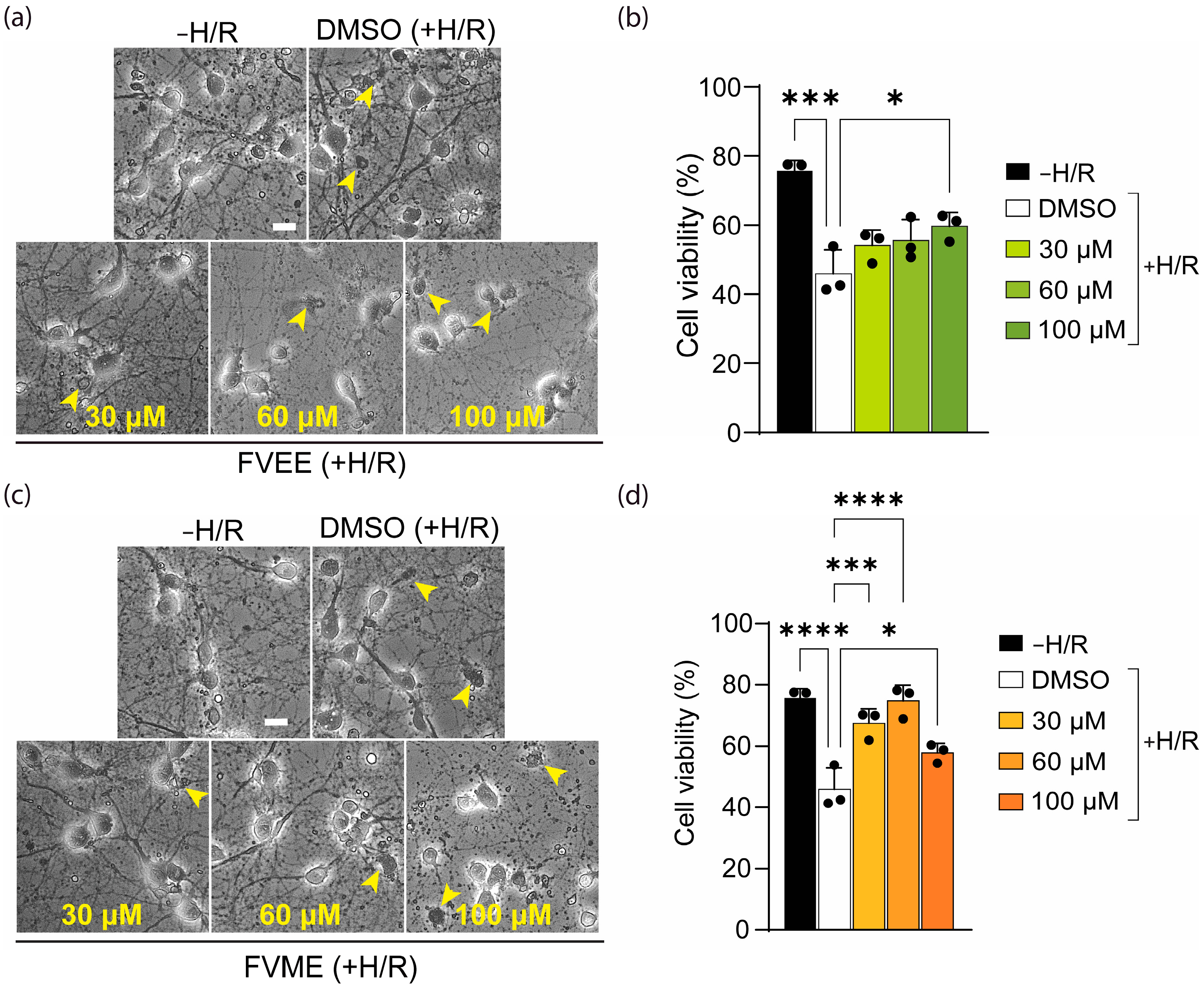 Nutrients 17 03107 g006