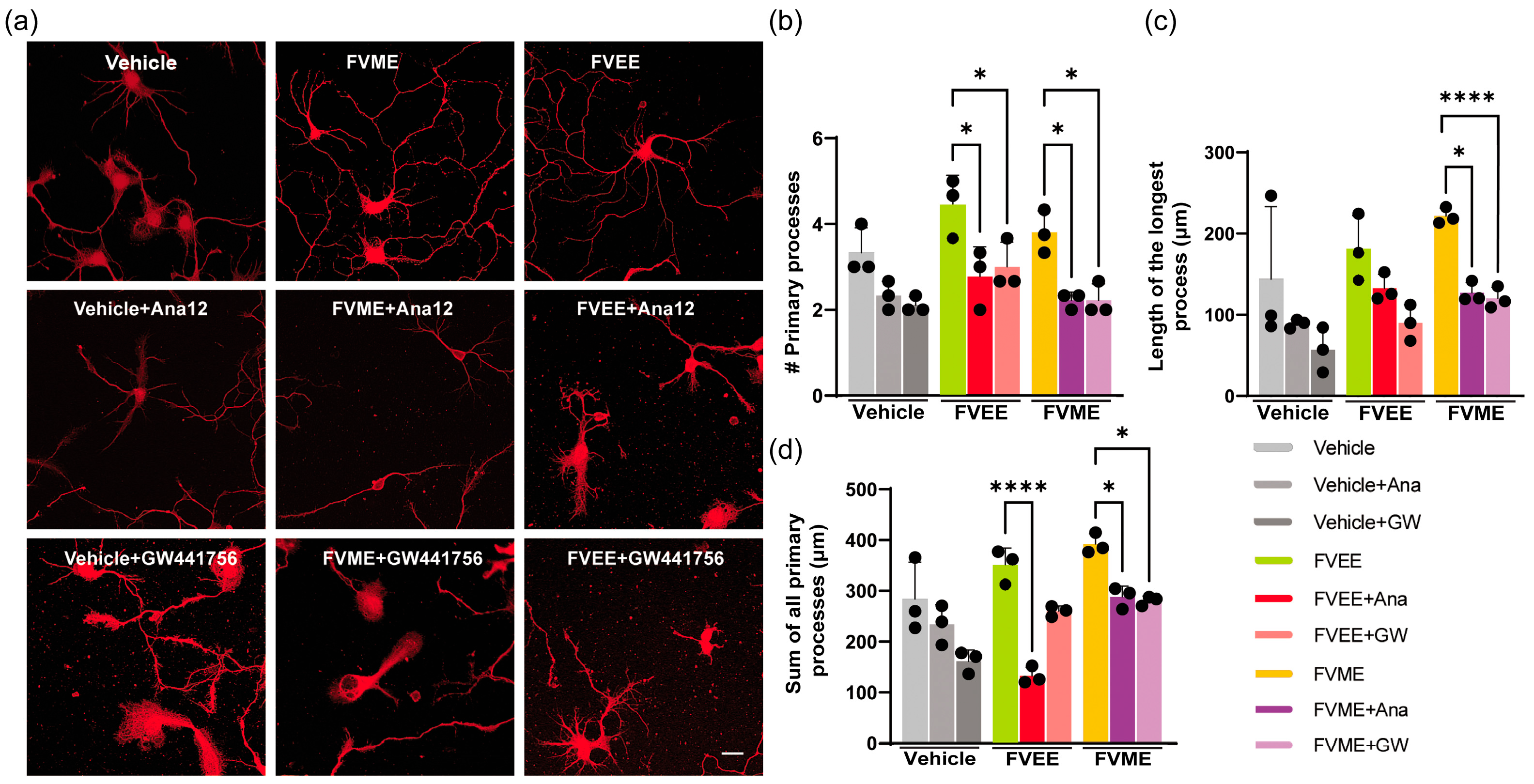 Nutrients 17 03107 g007