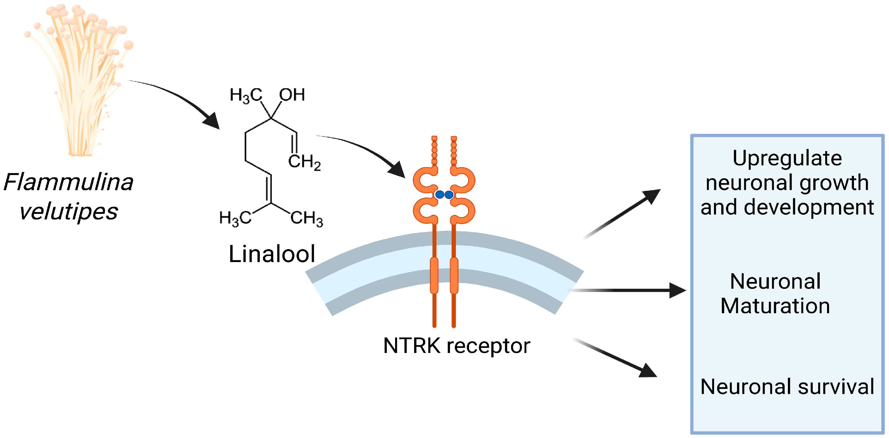 Nutrients 17 03107 g009