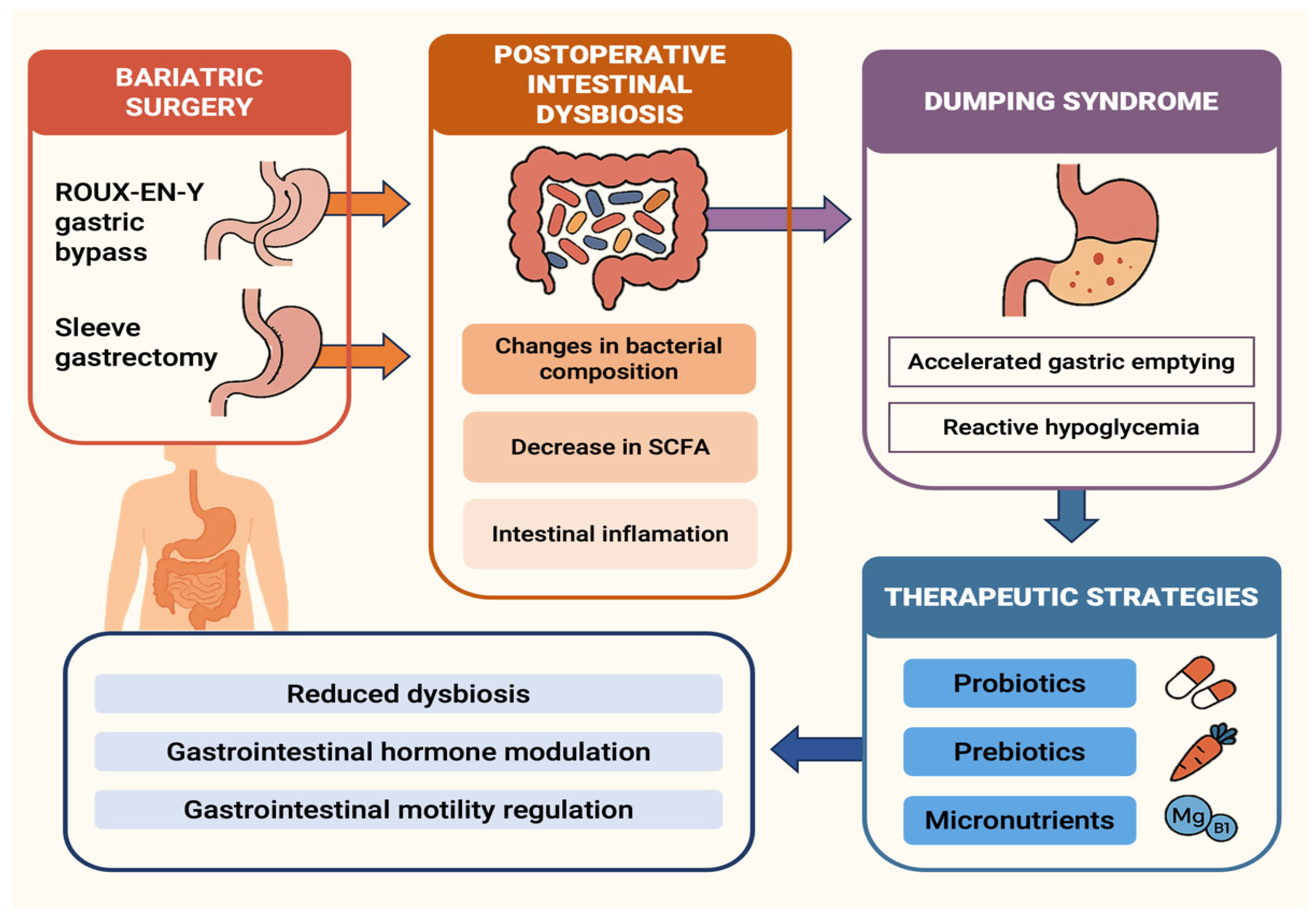 Nutrients 17 03123 g002 Nutrients 17 03123 g002