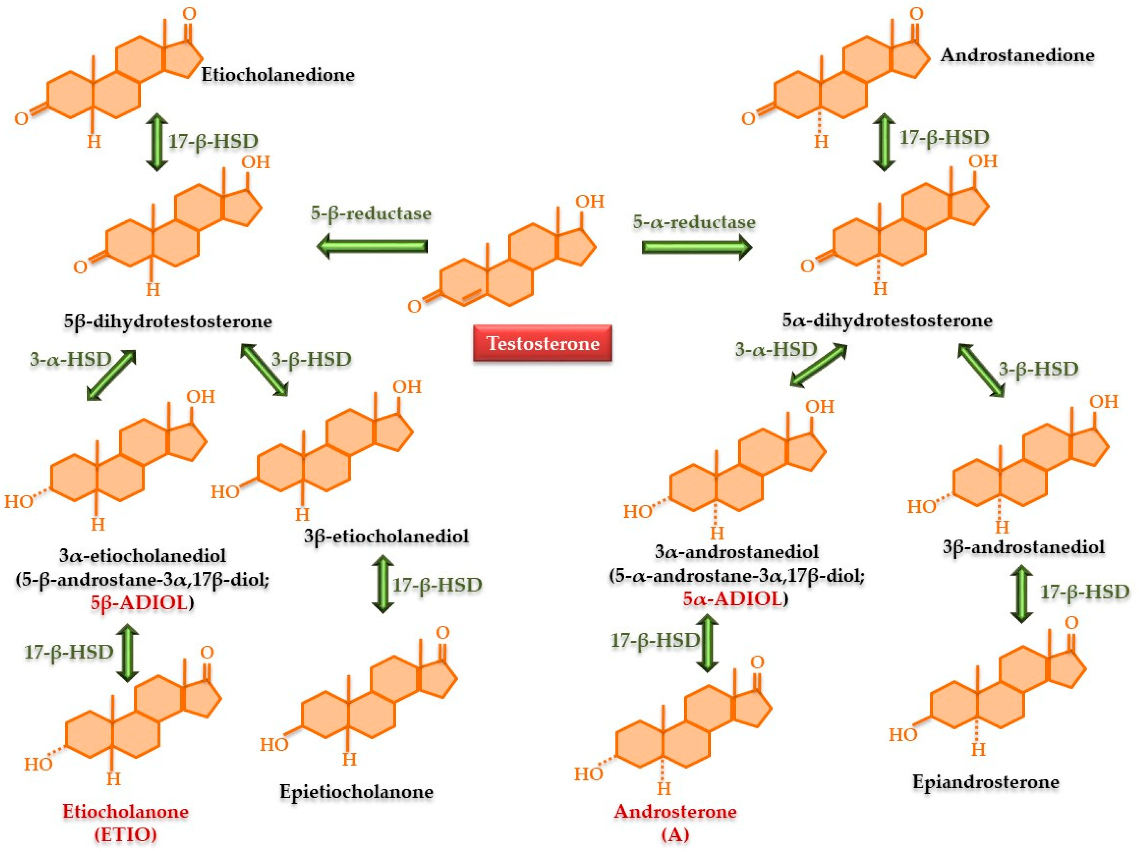 Nutrients 17 03146 g004 Nutrients 17 03146 g004