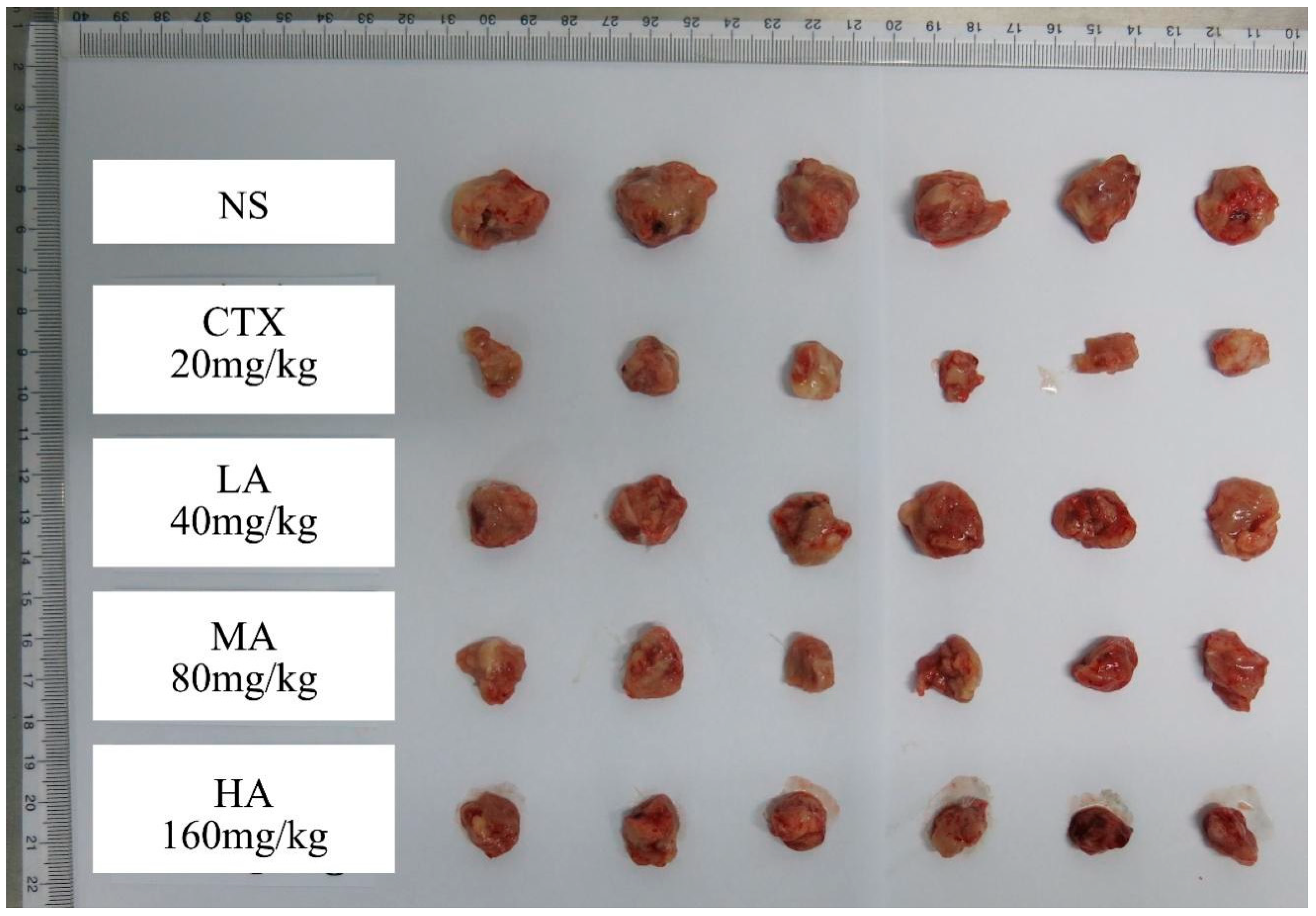 Nutrients 17 03151 g0a3 Nutrients 17 03151 g0a3