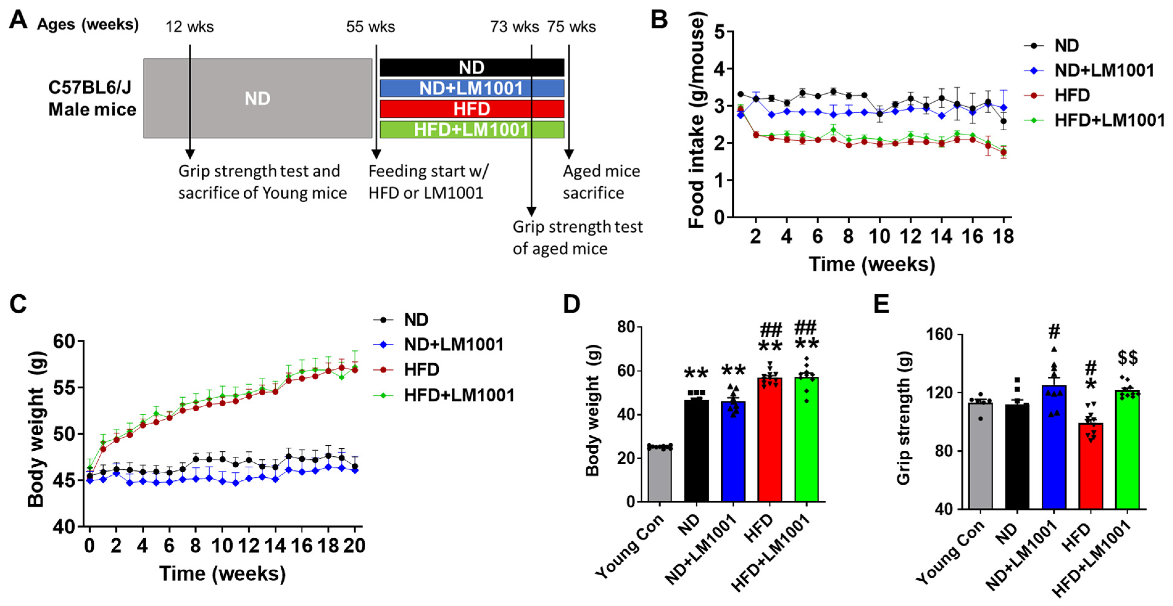 Nutrients 17 03156 g001 Nutrients 17 03156 g001