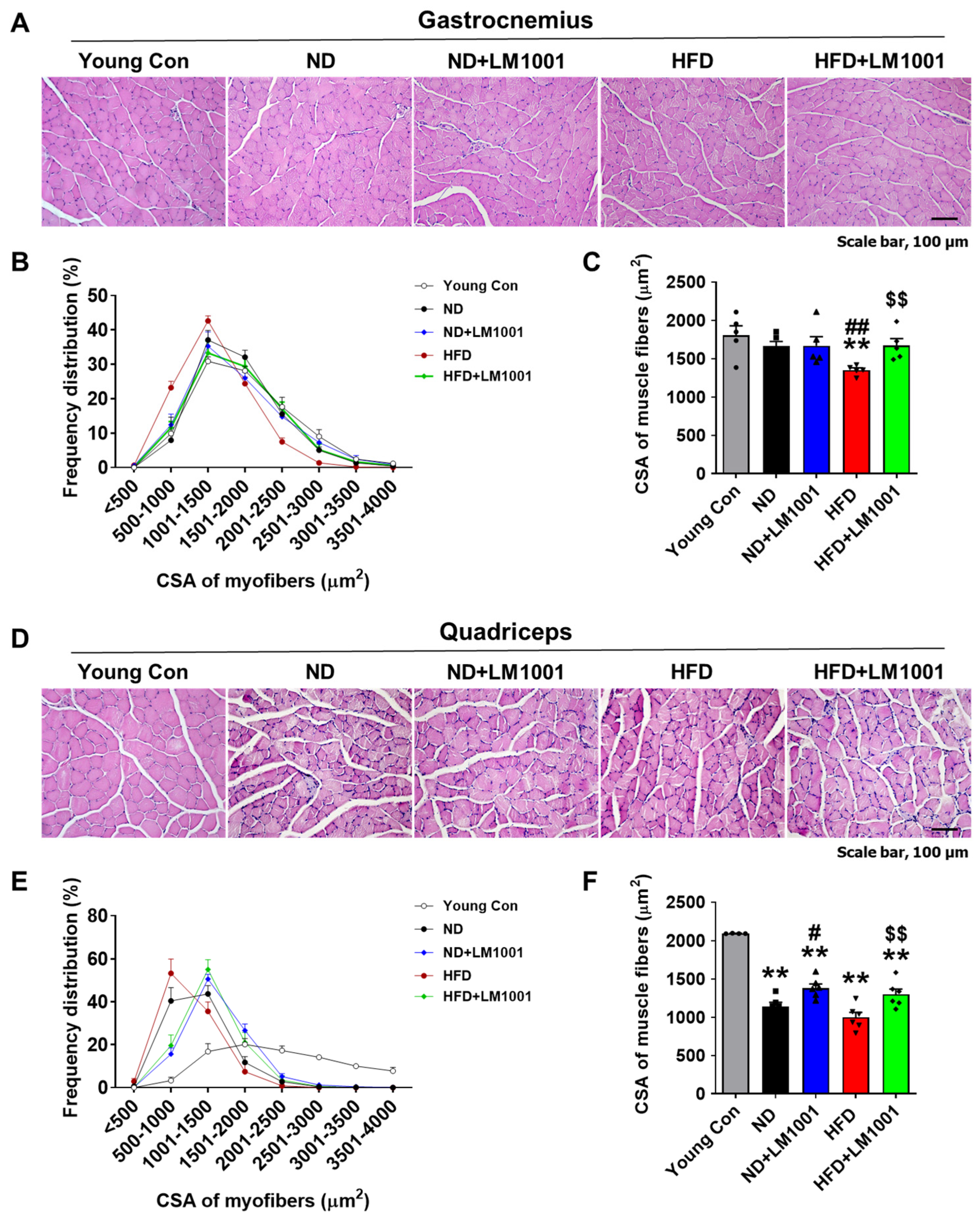 Nutrients 17 03156 g002 Nutrients 17 03156 g002
