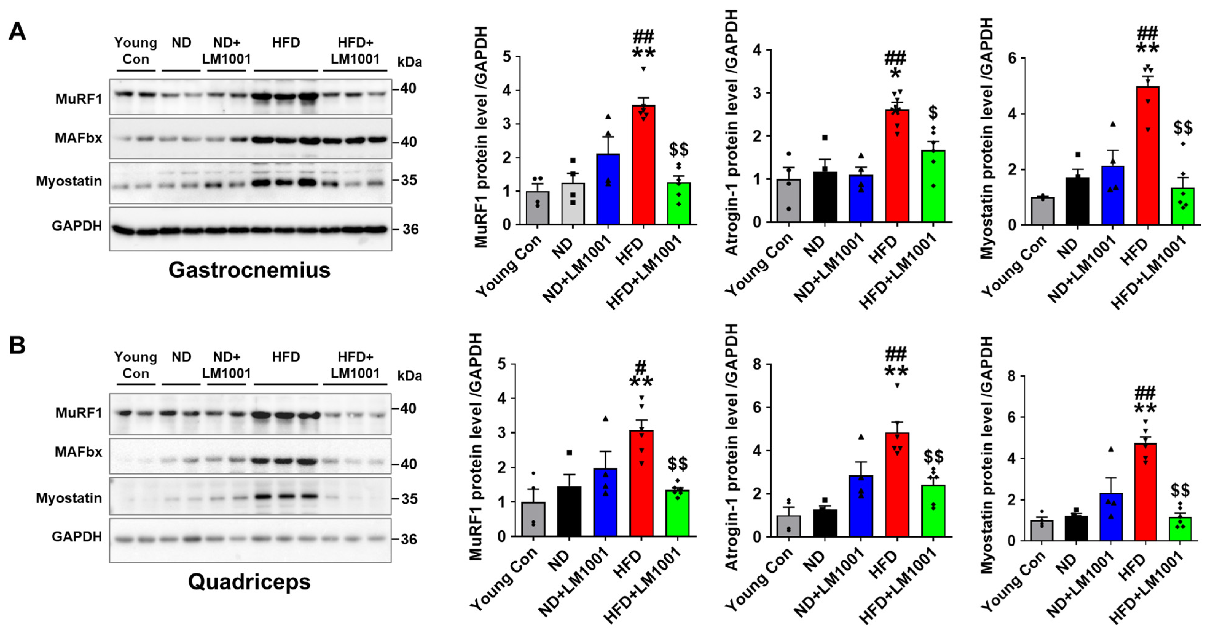 Nutrients 17 03156 g003 Nutrients 17 03156 g003
