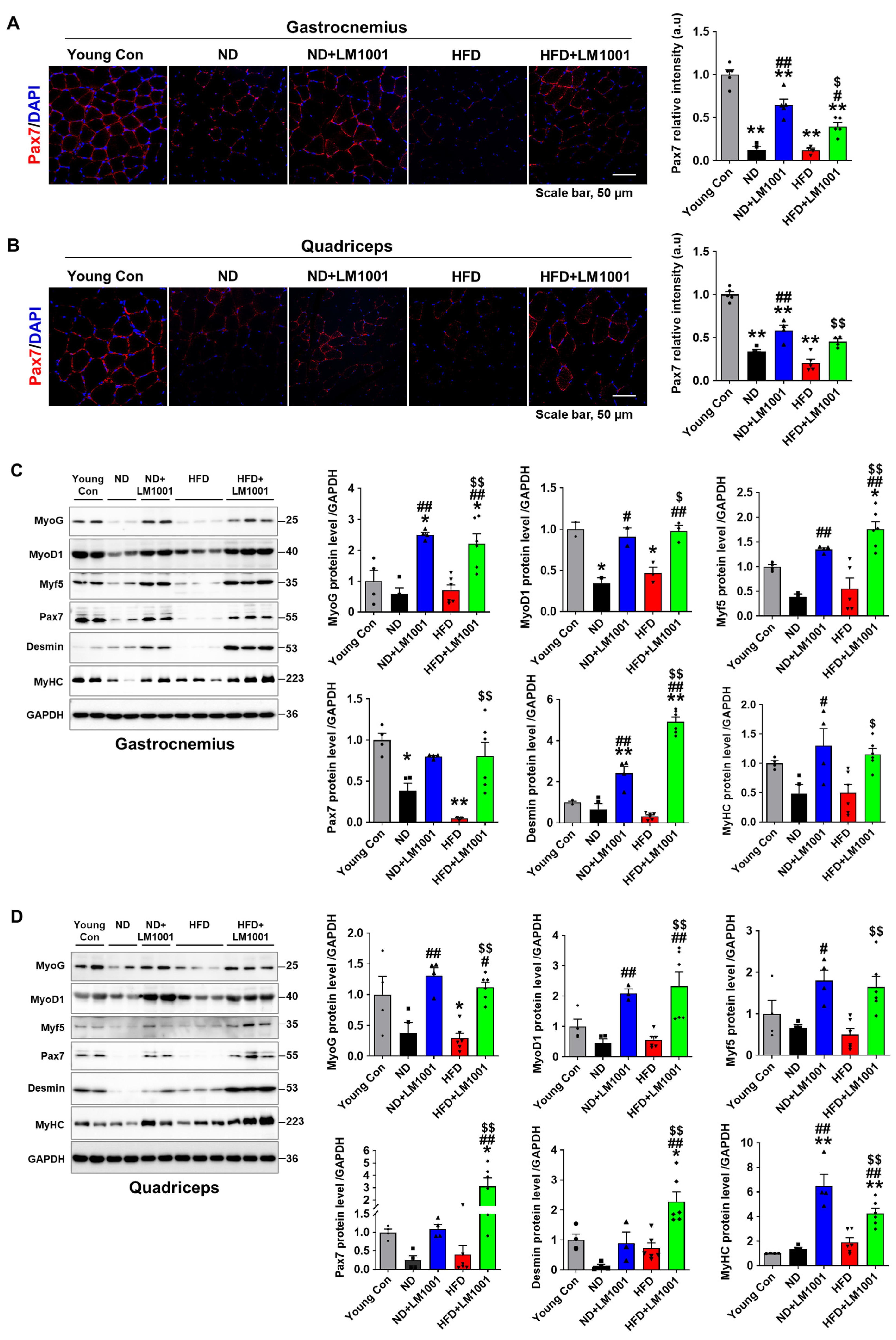 Nutrients 17 03156 g004 Nutrients 17 03156 g004