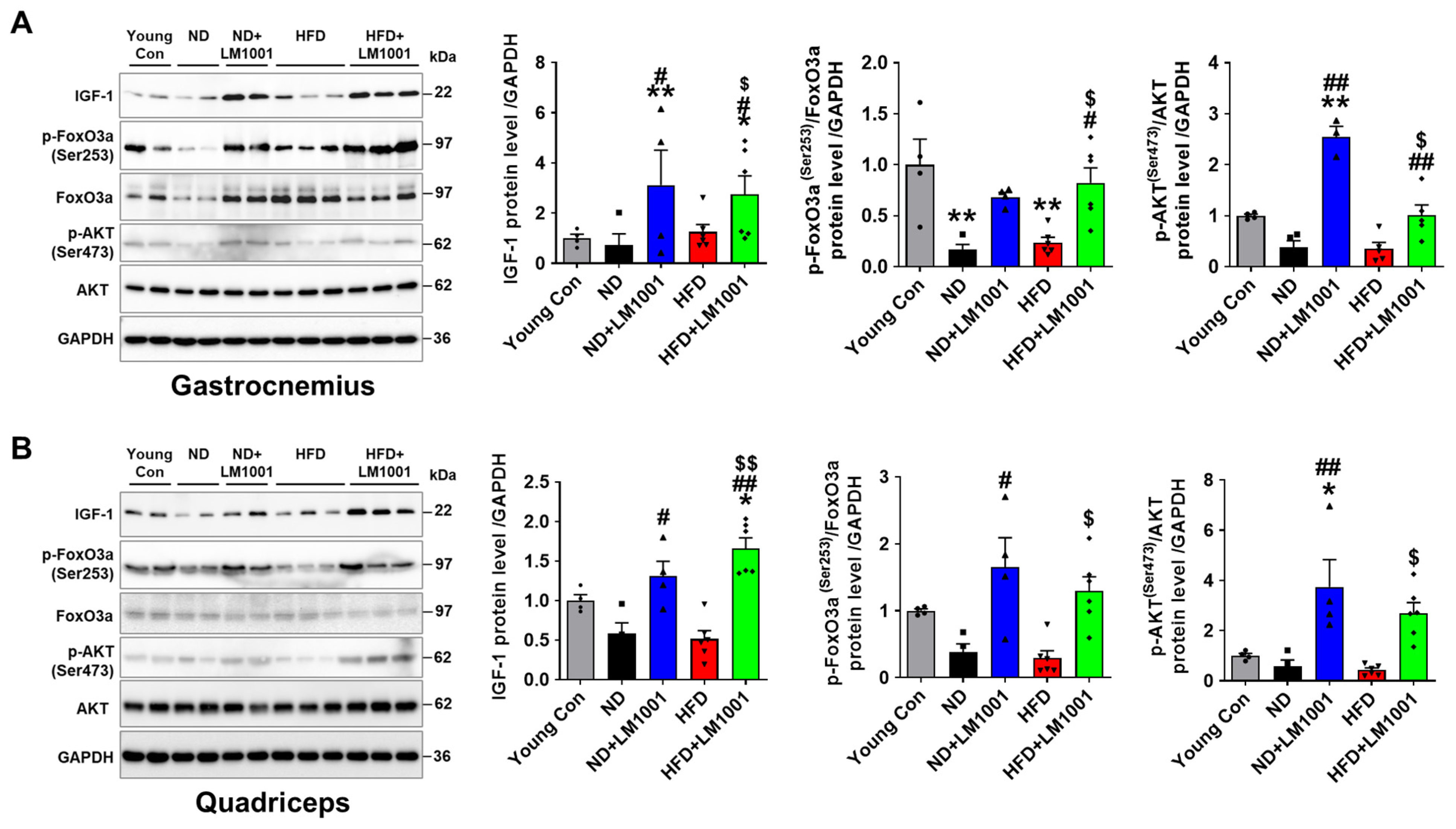 Nutrients 17 03156 g005 Nutrients 17 03156 g005