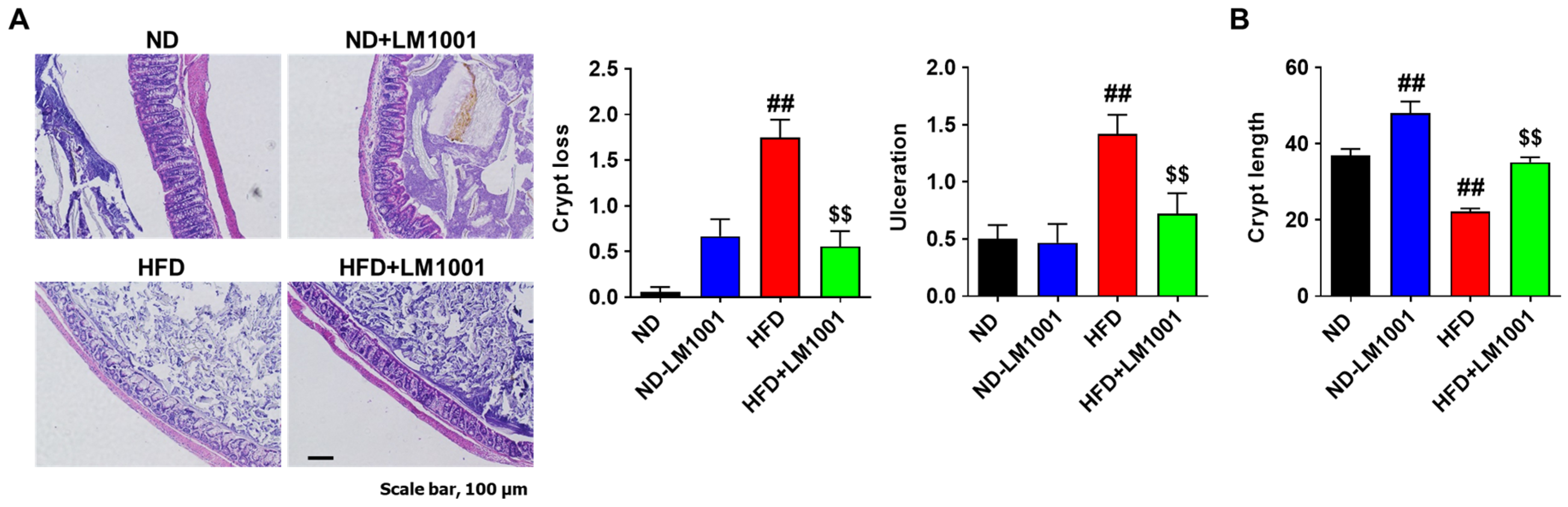 Nutrients 17 03156 g007 Nutrients 17 03156 g007
