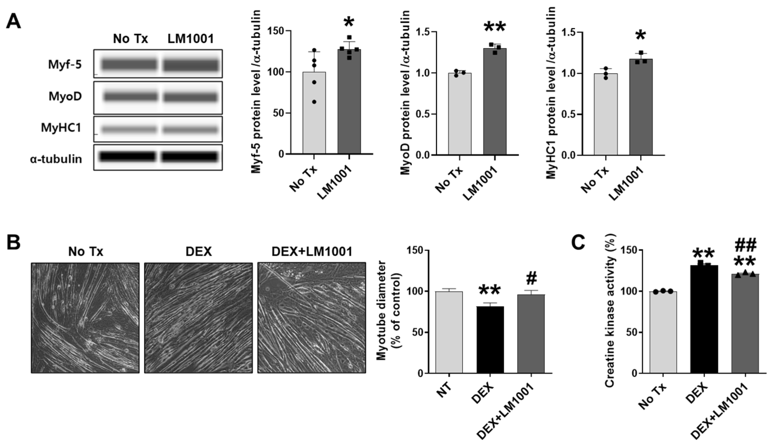Nutrients 17 03156 g008 Nutrients 17 03156 g008