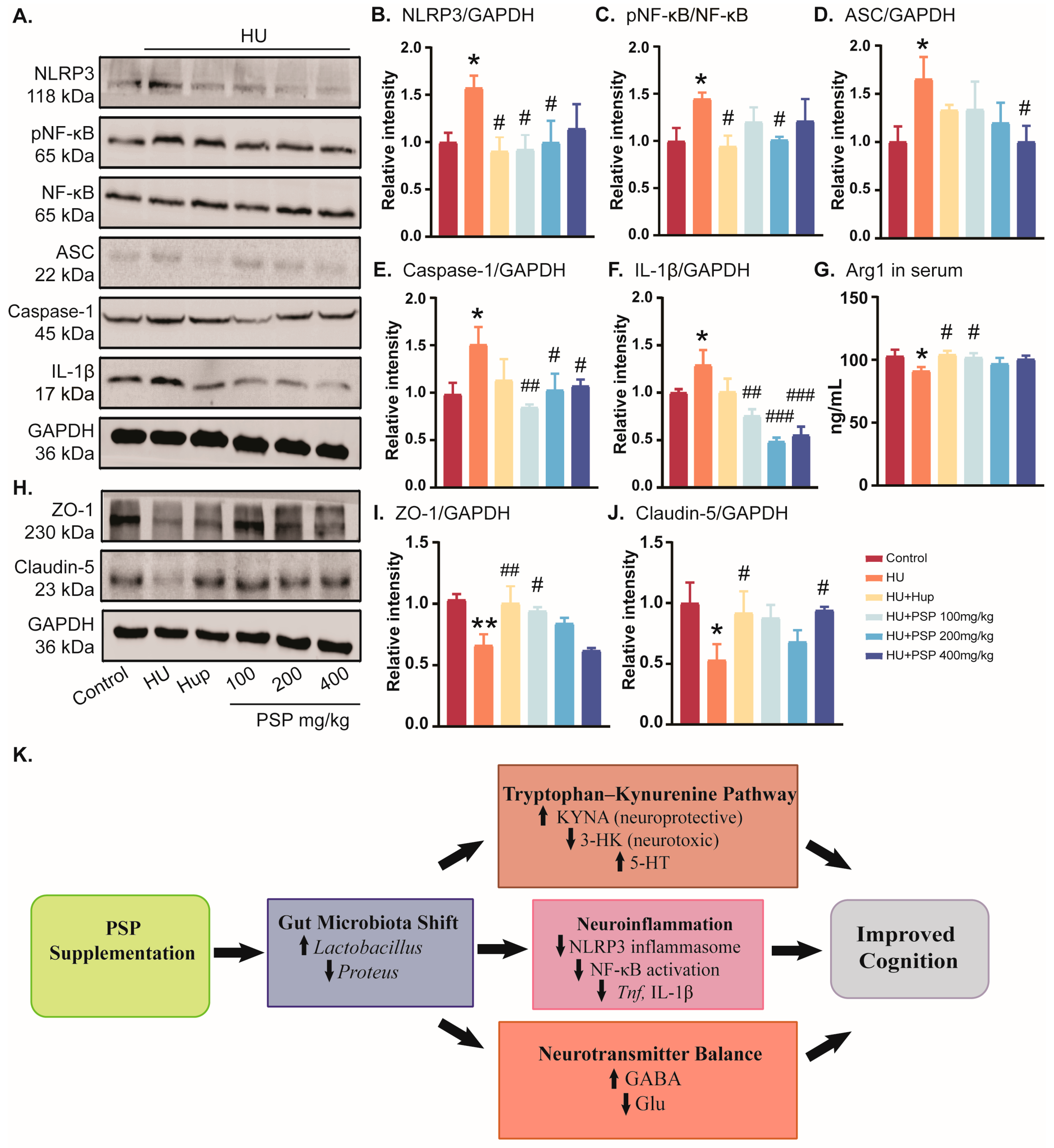 Nutrients 17 03157 g006 Nutrients 17 03157 g006