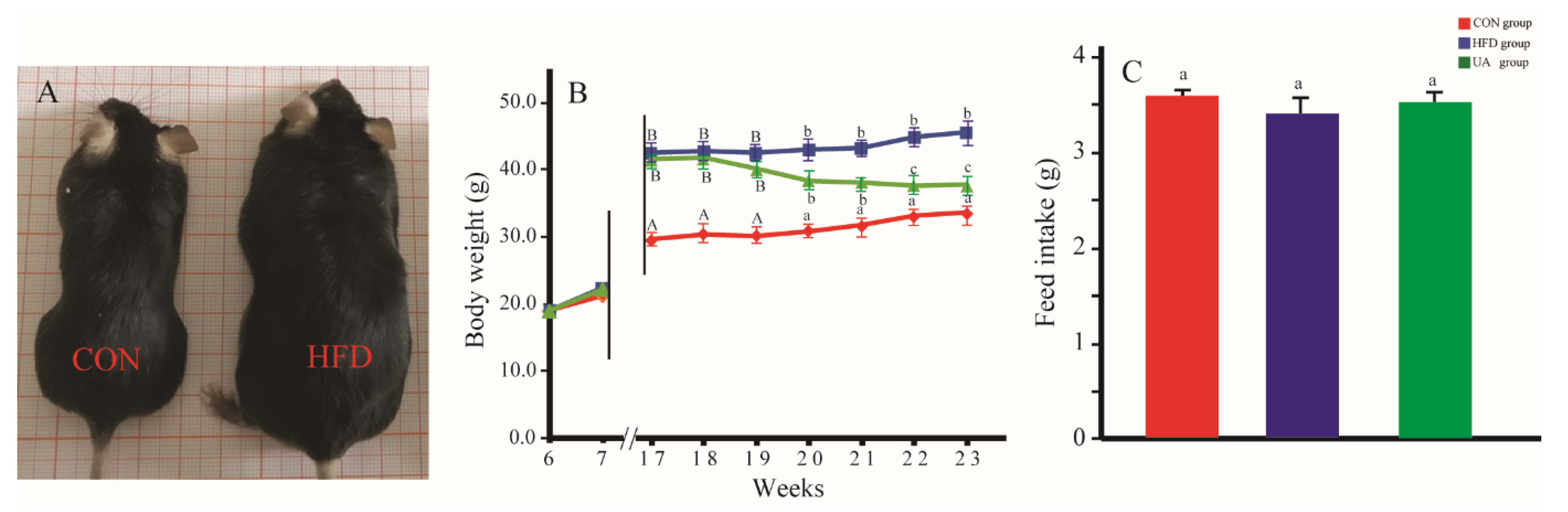 Nutrients 17 03158 g002
