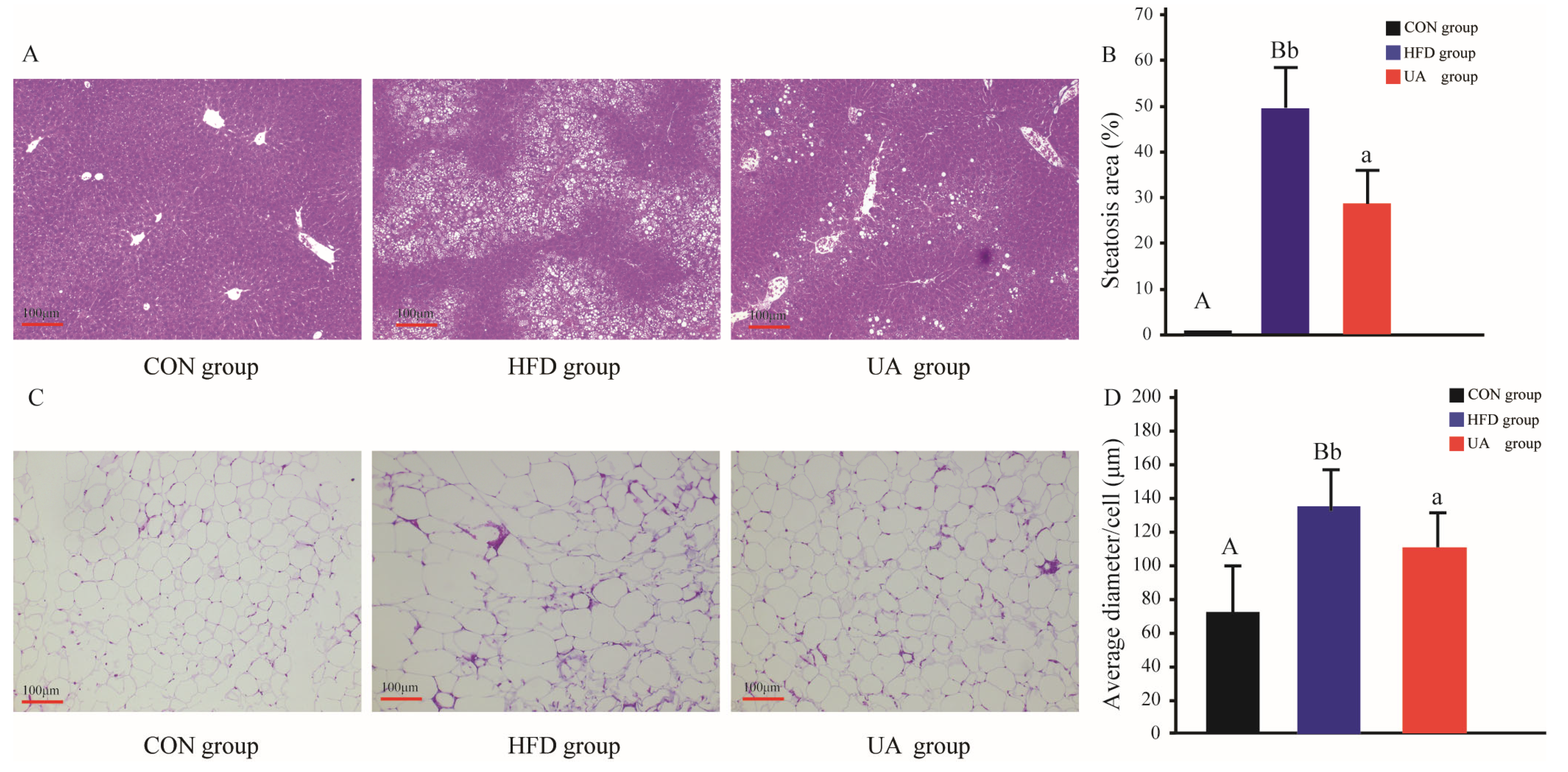 Nutrients 17 03158 g004