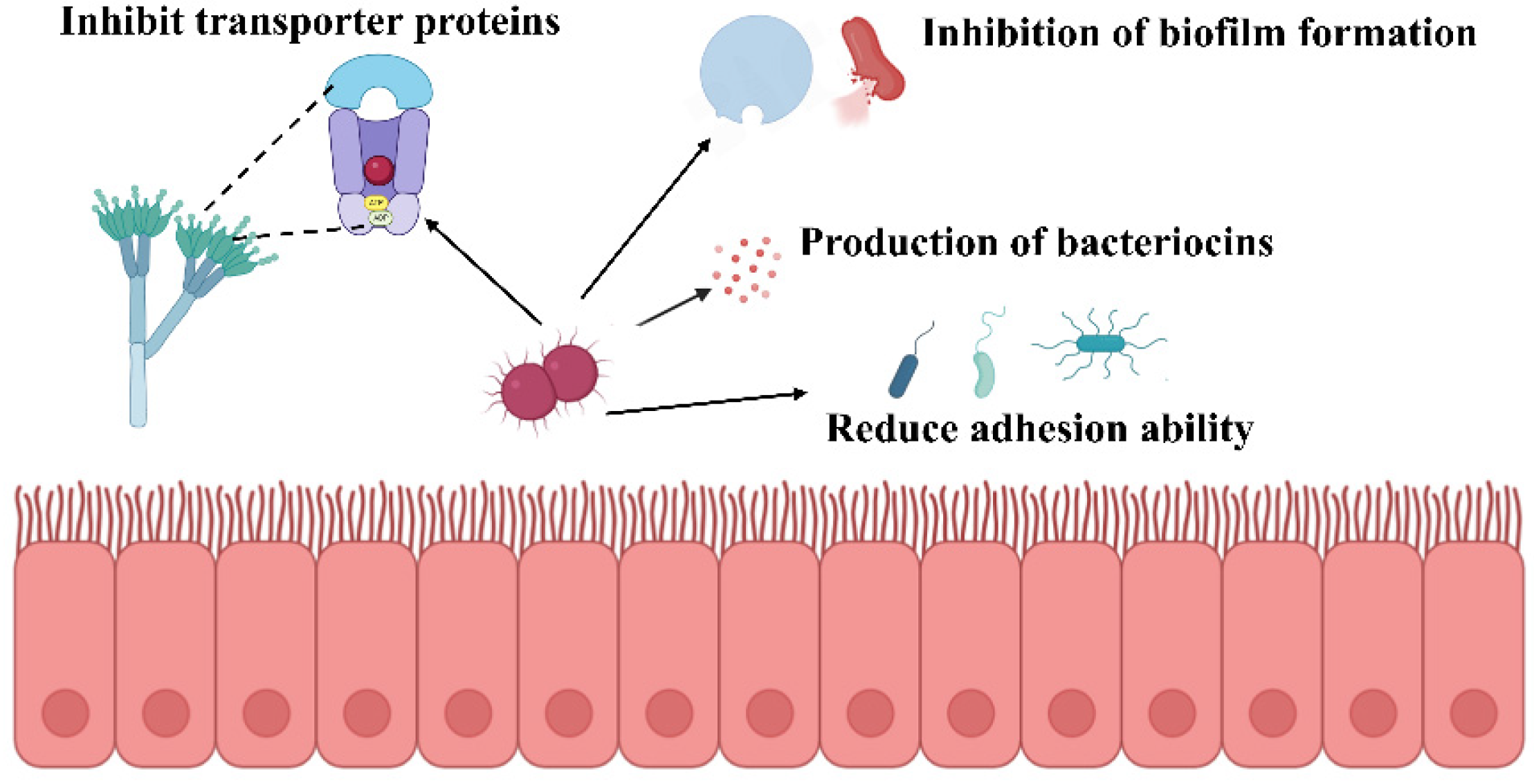 Nutrients 17 03162 g001 Nutrients 17 03162 g001