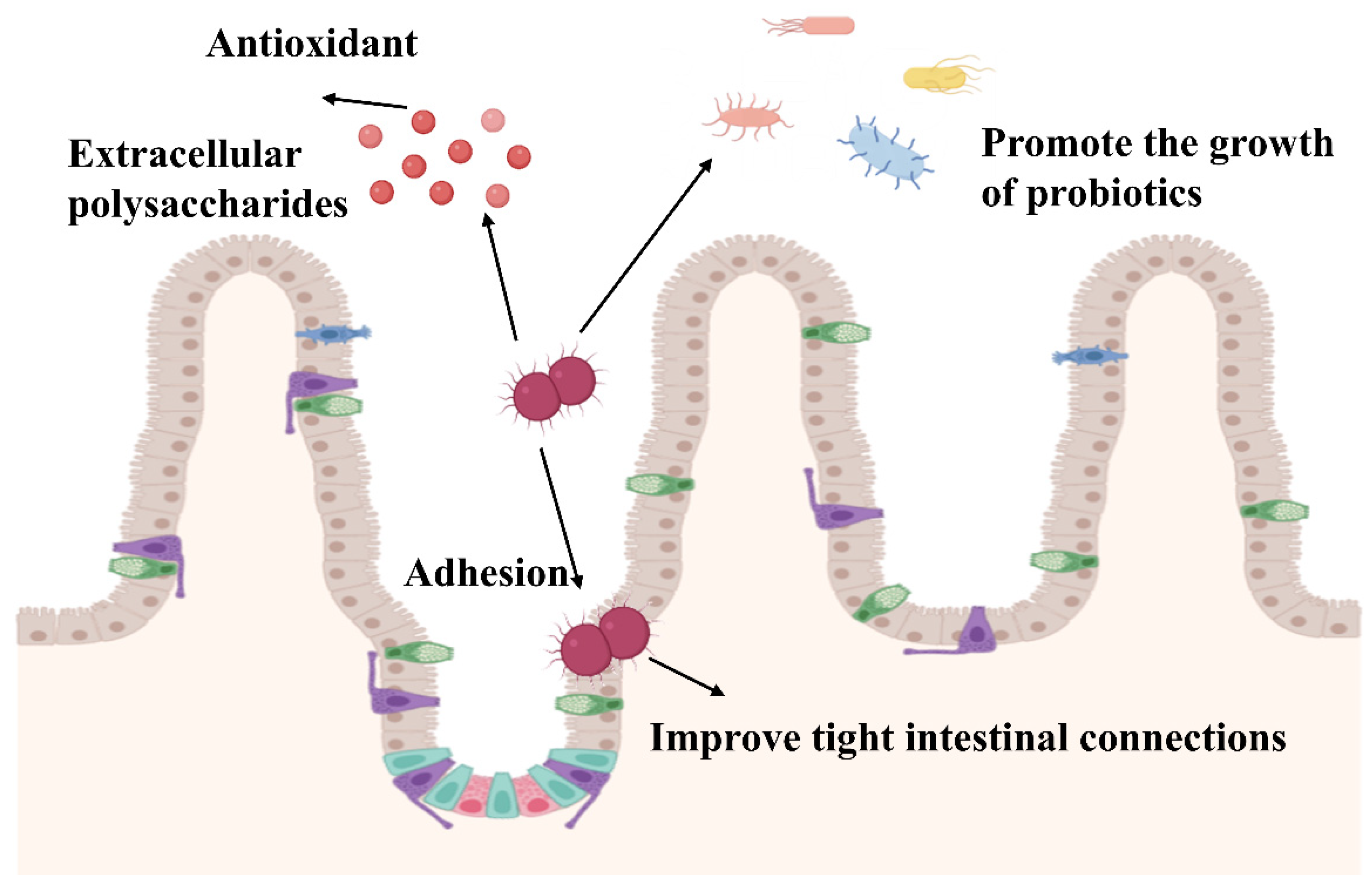 Nutrients 17 03162 g002 Nutrients 17 03162 g002